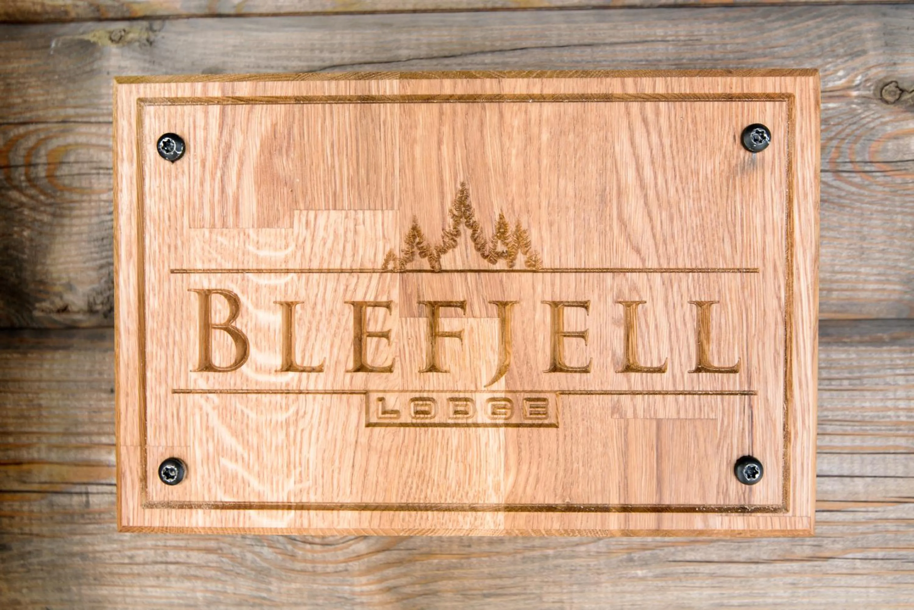 Property logo or sign in Blefjell Lodge