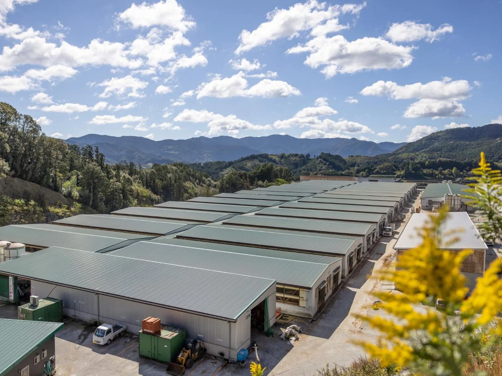 Breakfast in Hotel Taiyo Noen Nibancho