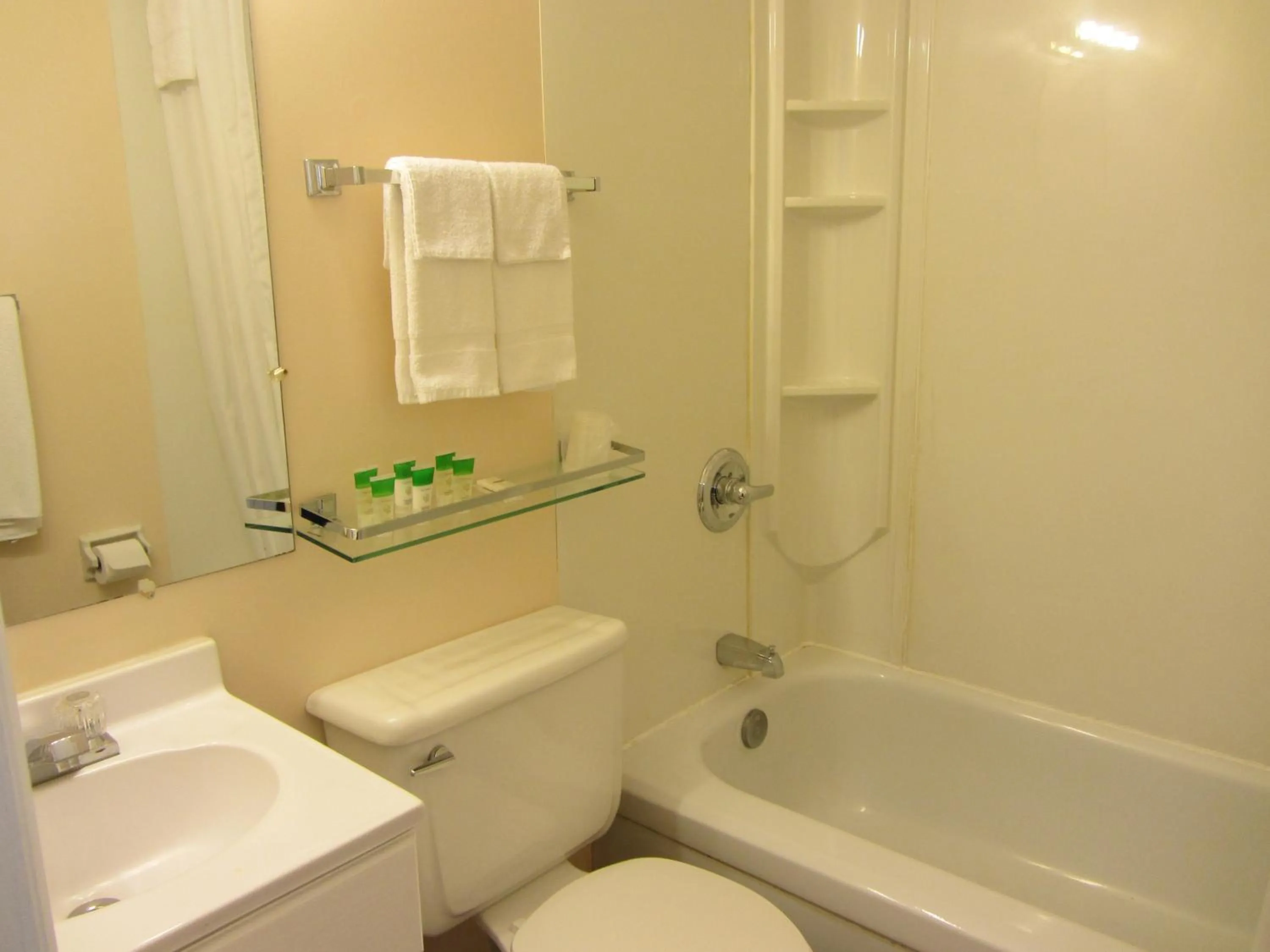 Bathroom in The Maplewood Motel