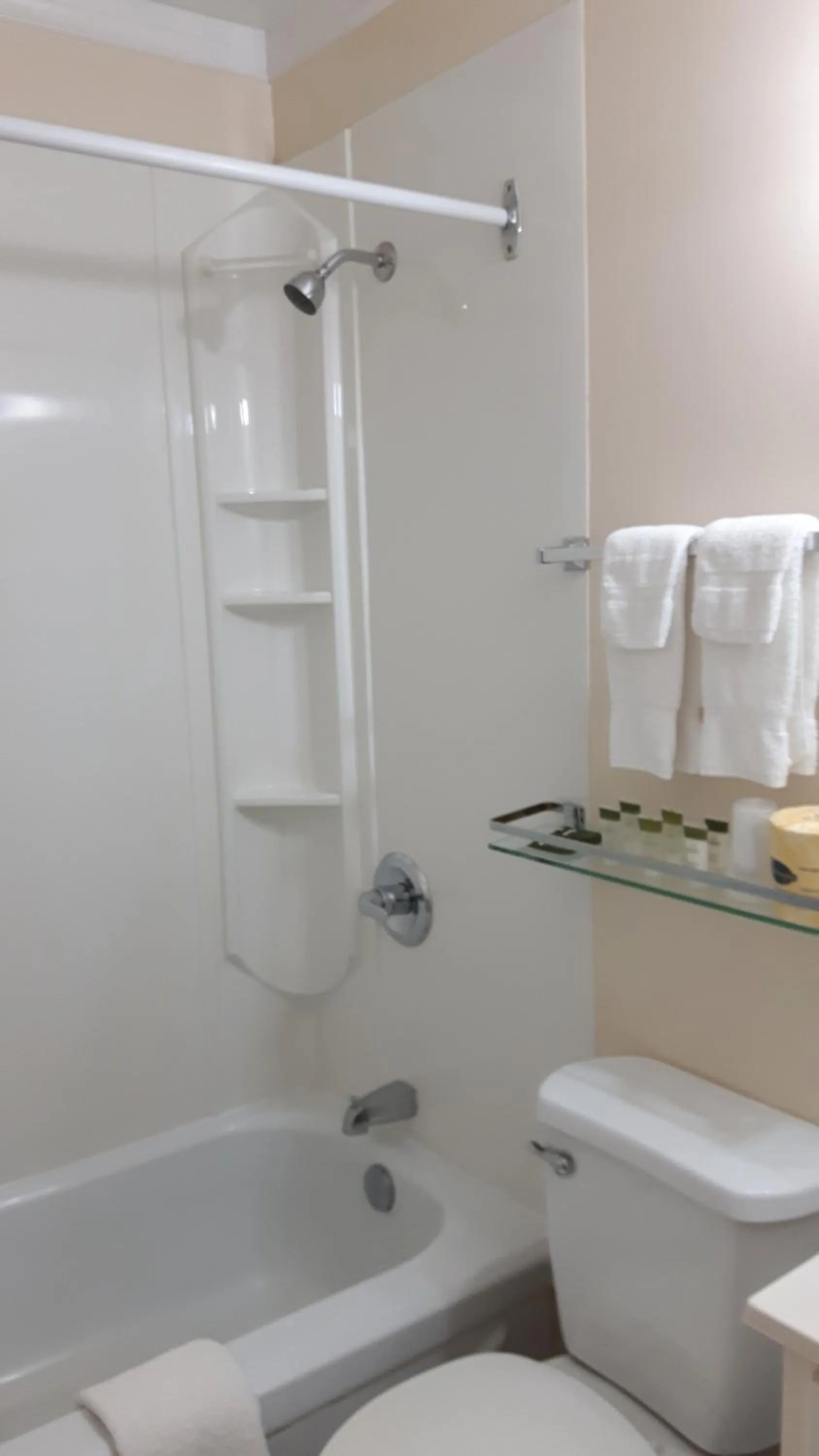 Shower, Bathroom in The Maplewood Motel