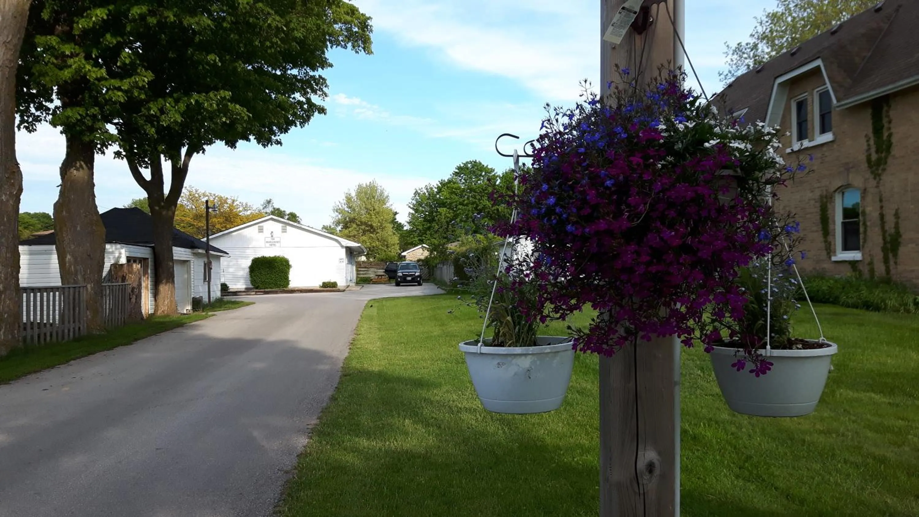 Neighbourhood, Garden in The Maplewood Motel