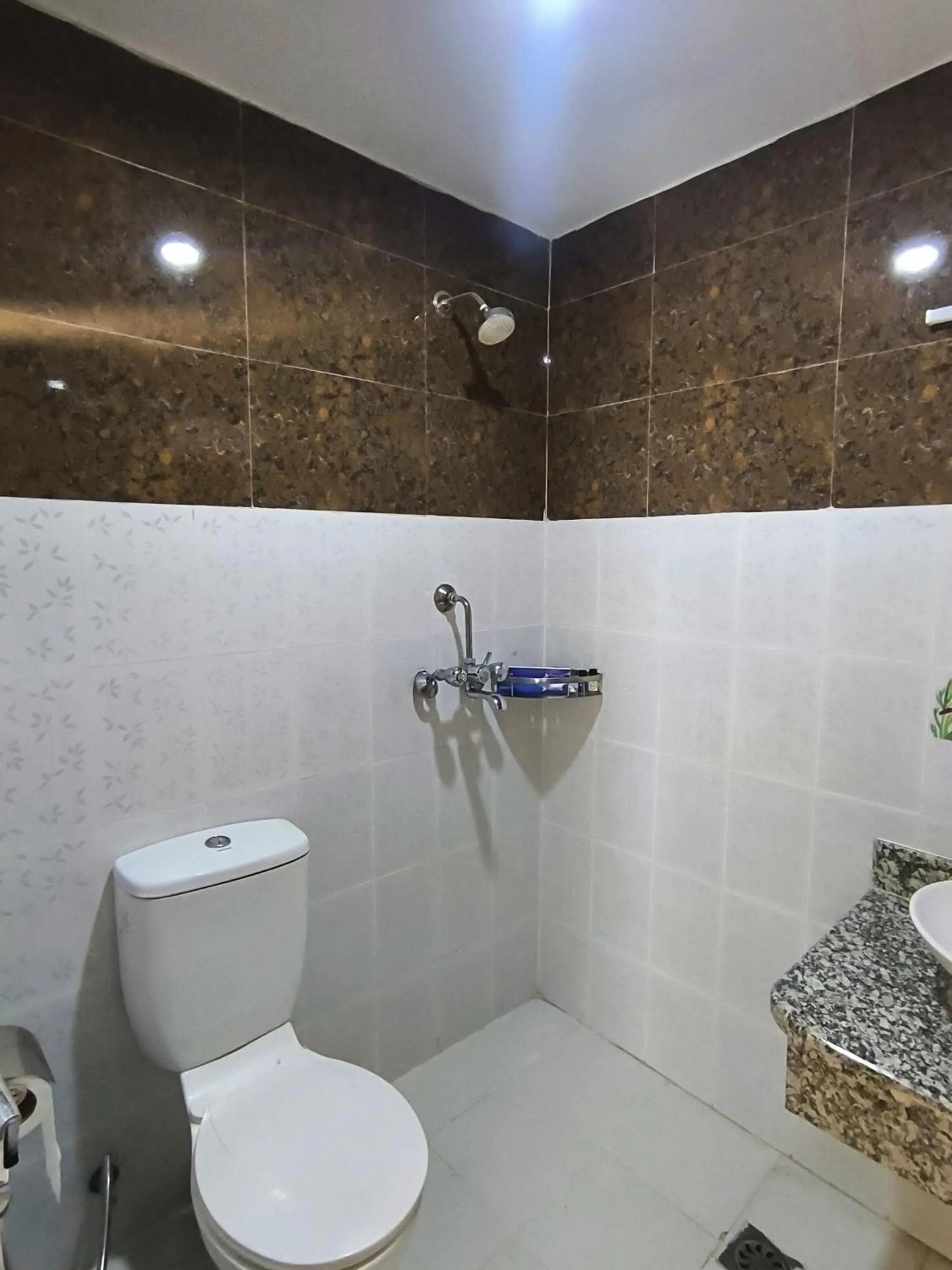 Shower in Hotel Peaceland Lumbini