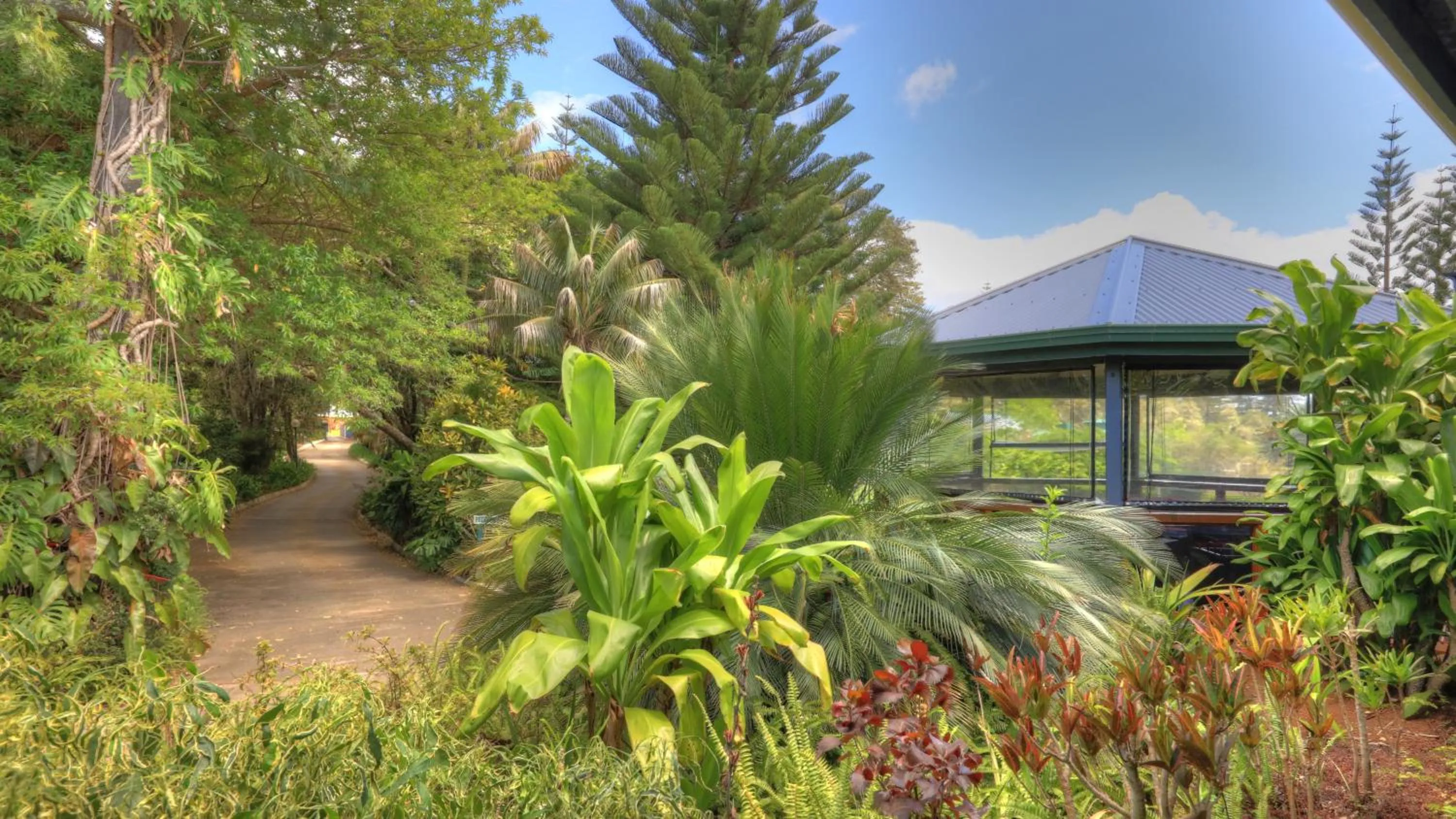 Natural landscape in Paradise Hotel & Resort