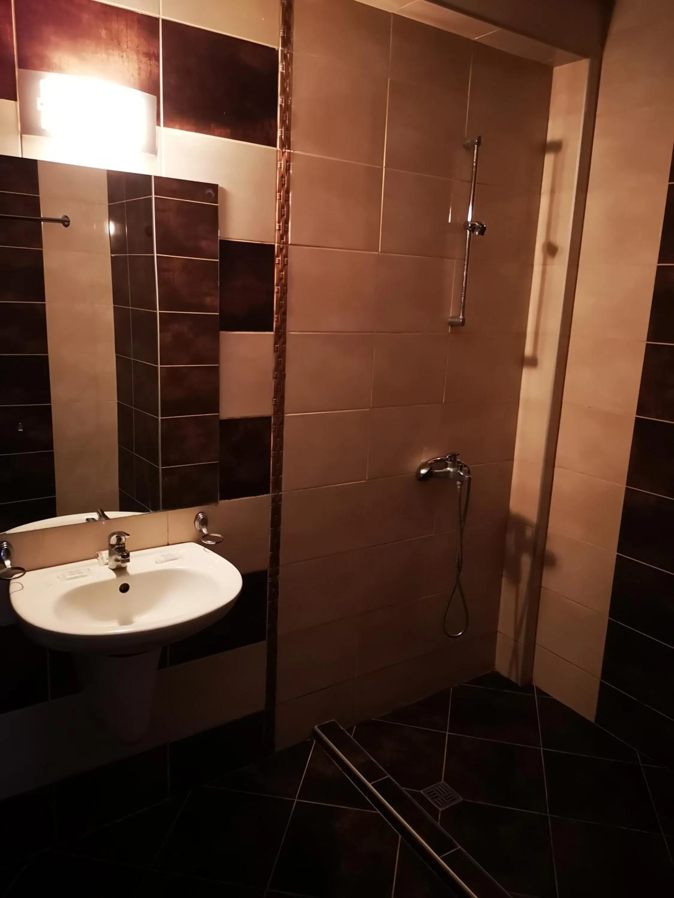 Toilet in Hotel Varly Bryag
