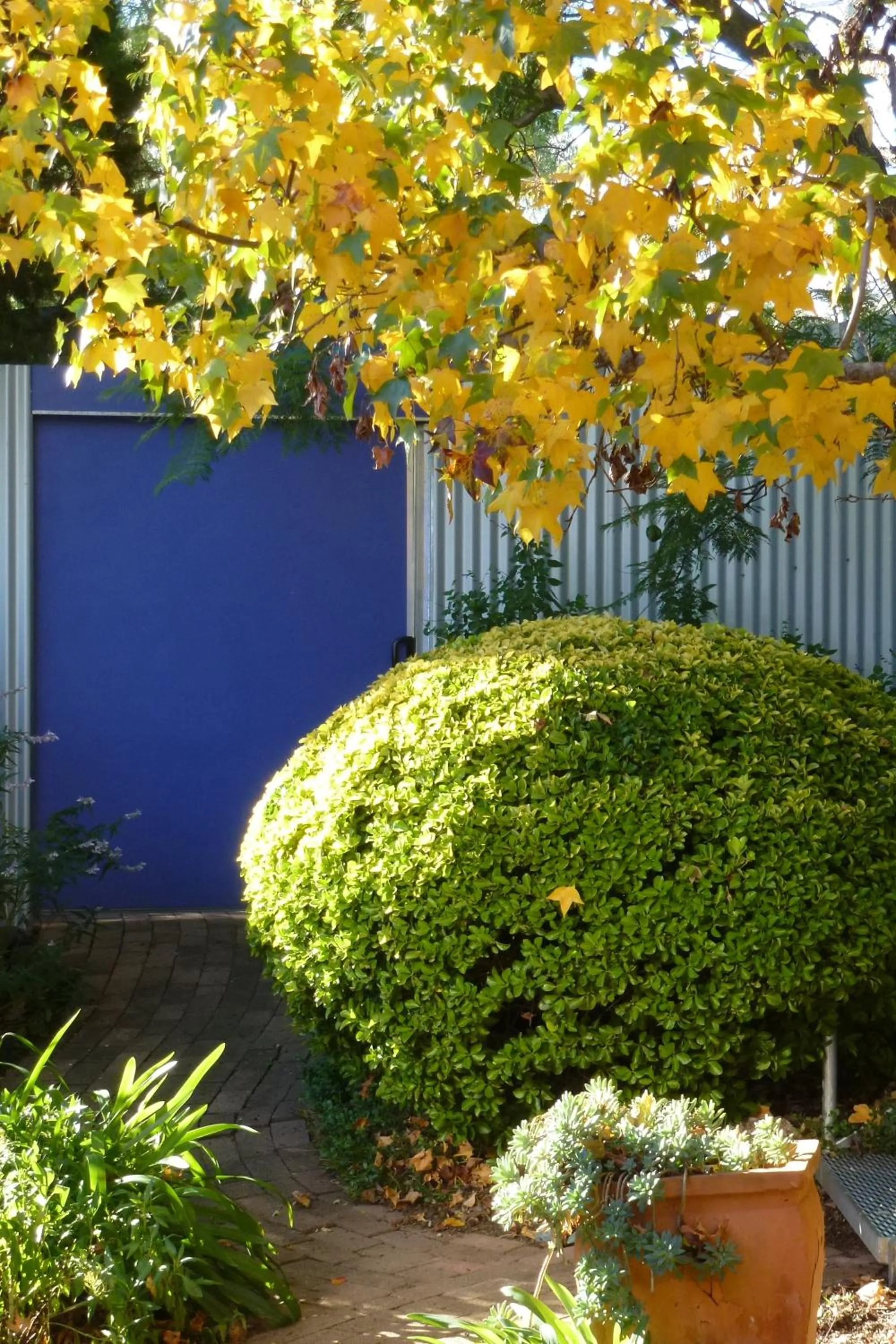Garden in The Retreat at Froog Moore Park