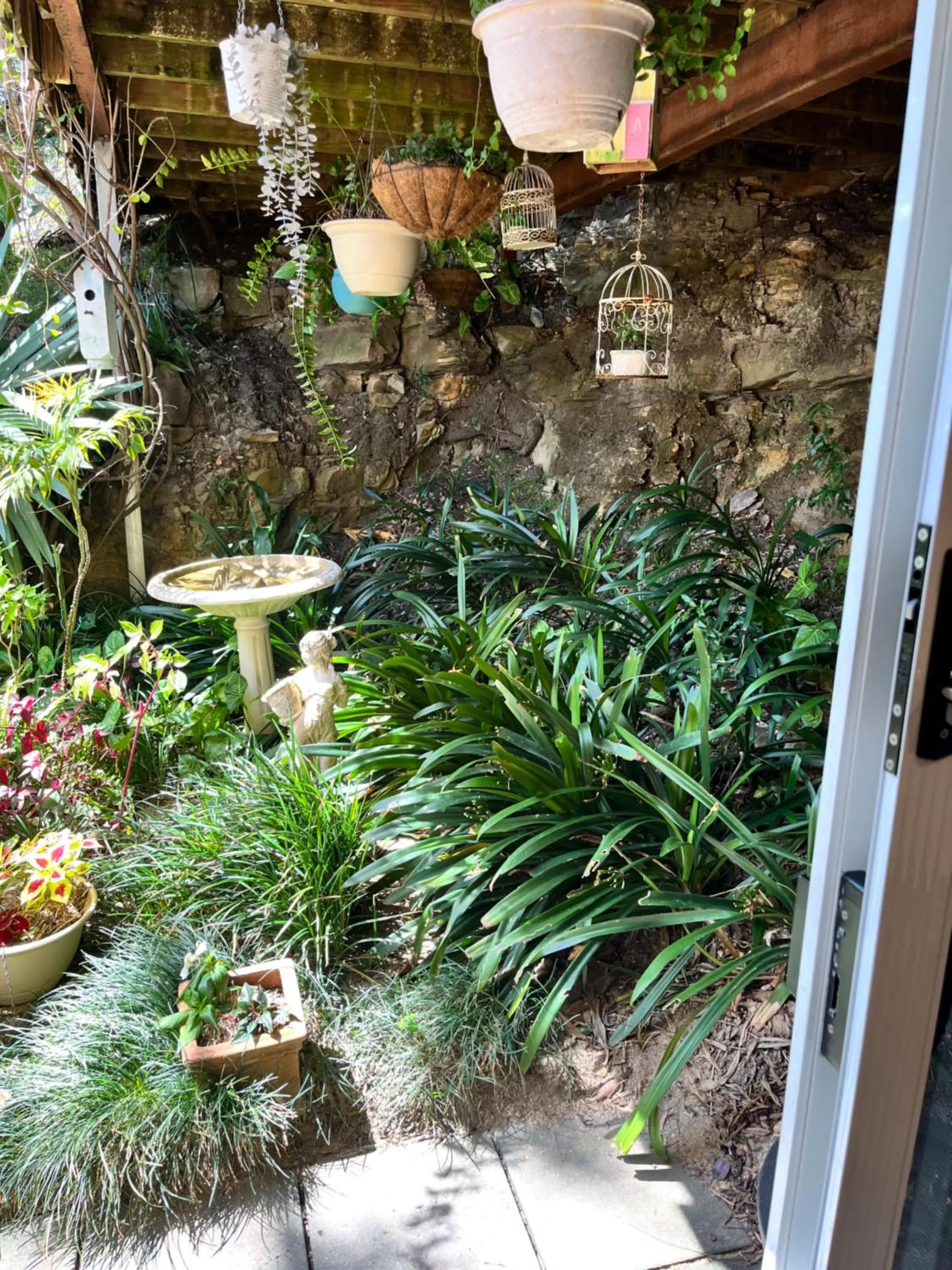 Garden in Linley House