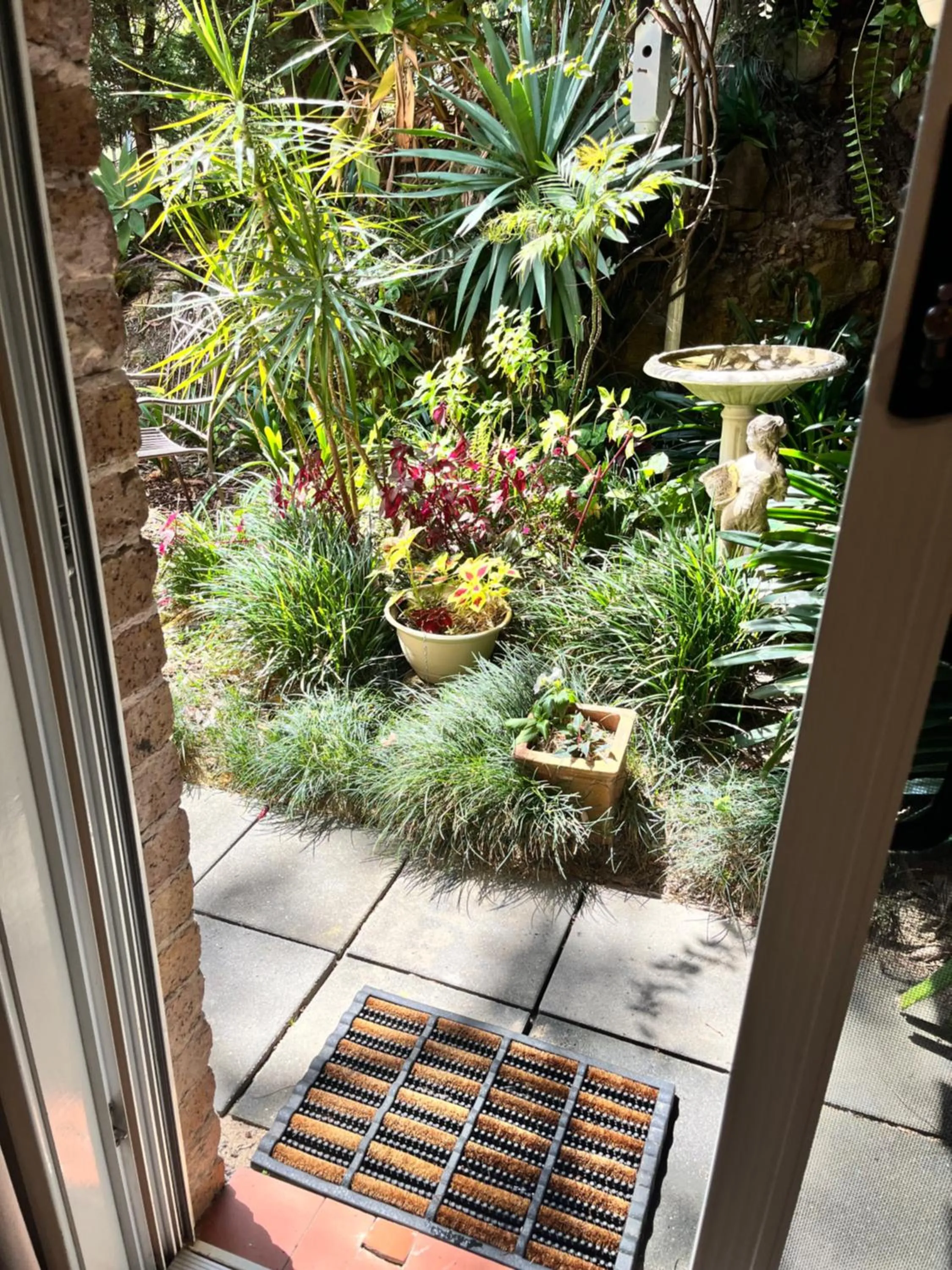 Garden in Linley House