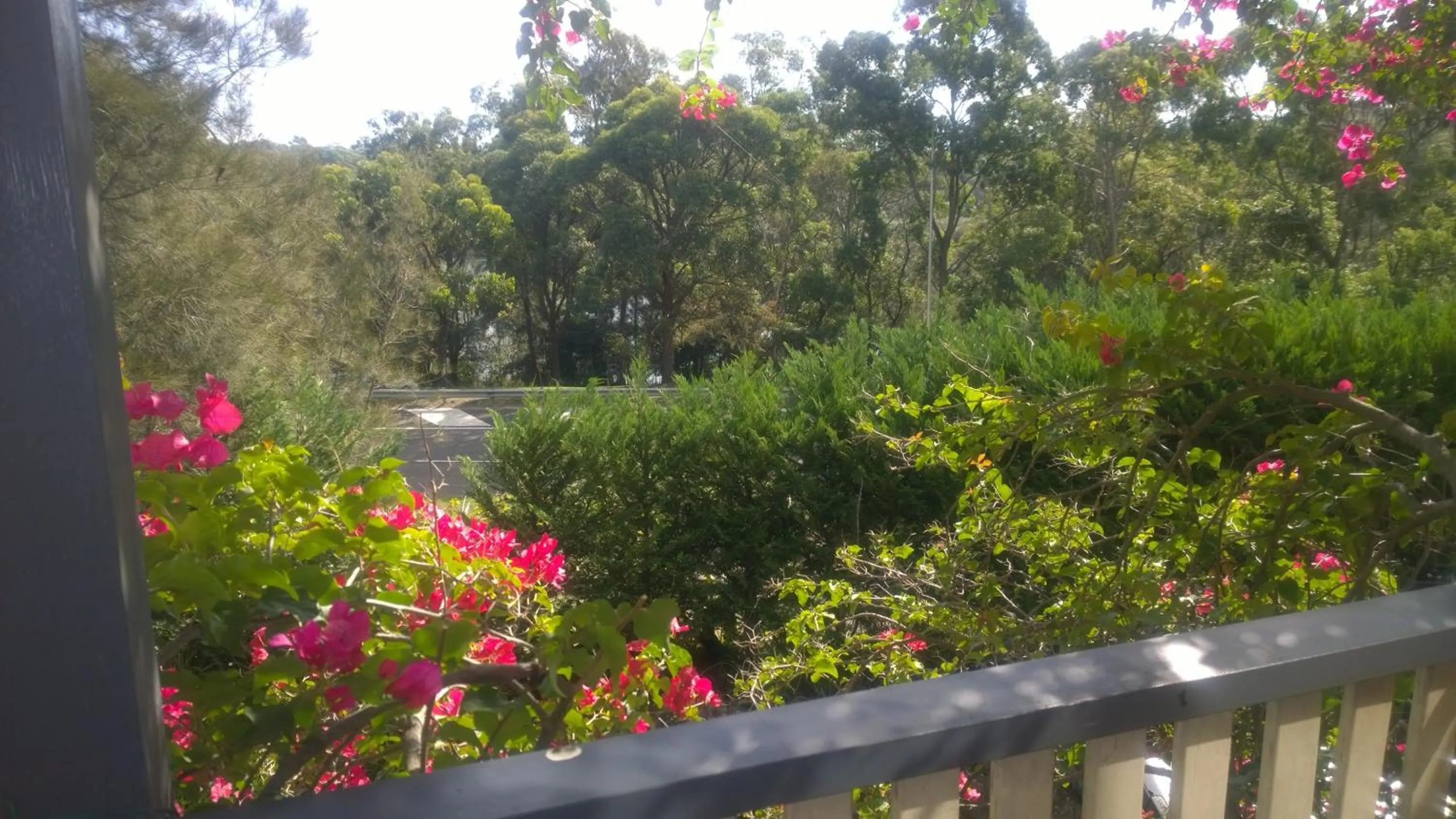 Natural landscape in Linley House