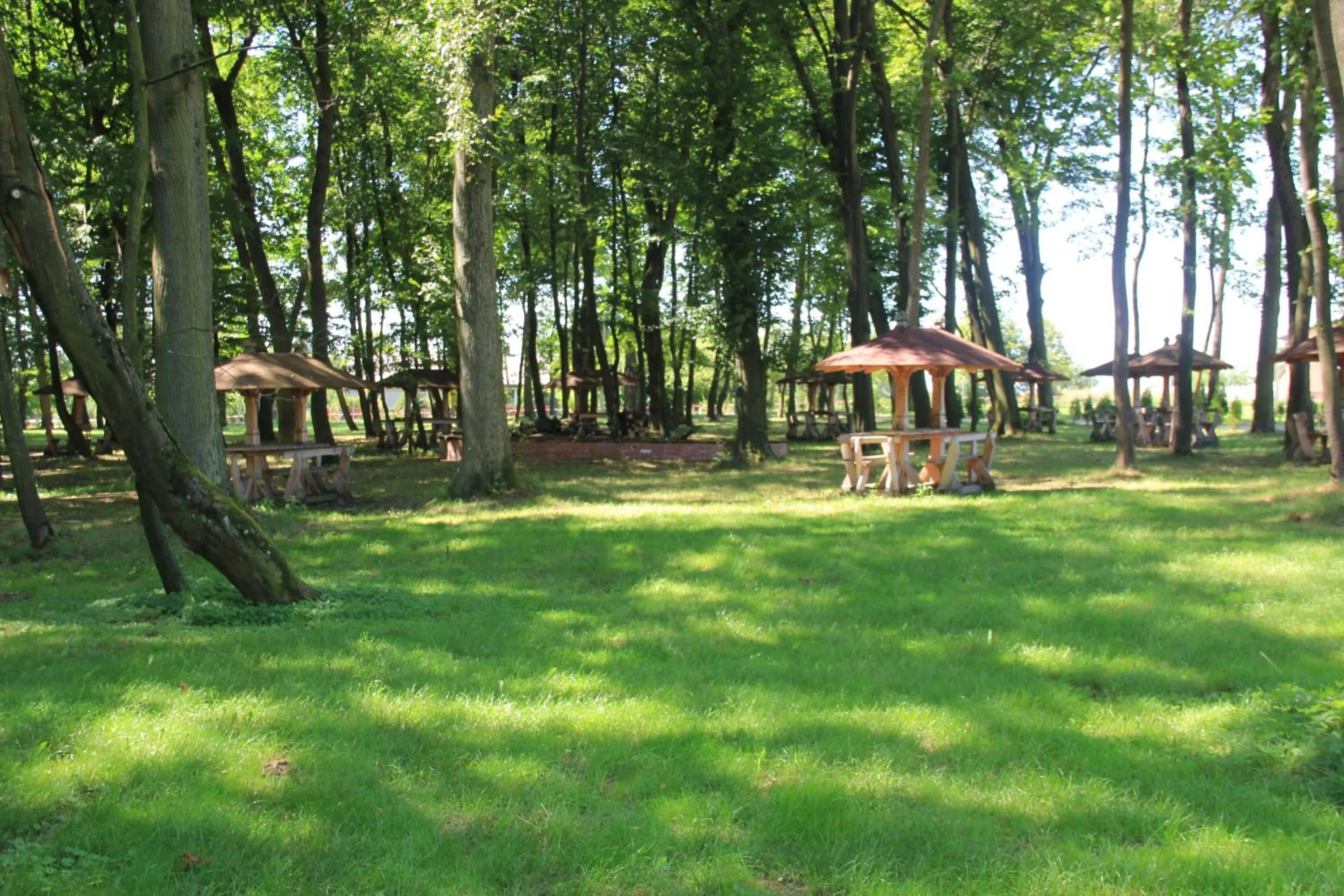 Garden in Dworek Korytków