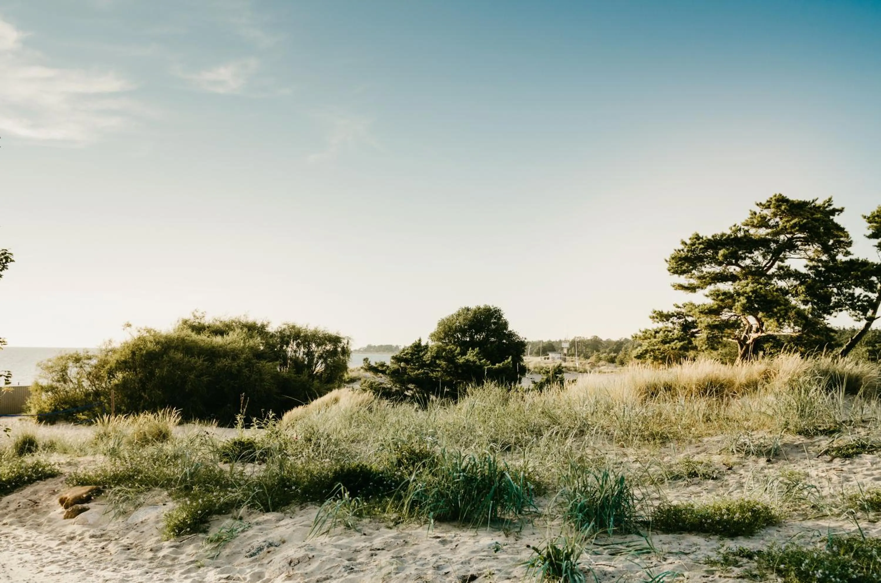 Natural landscape in Hotel Toftagården
