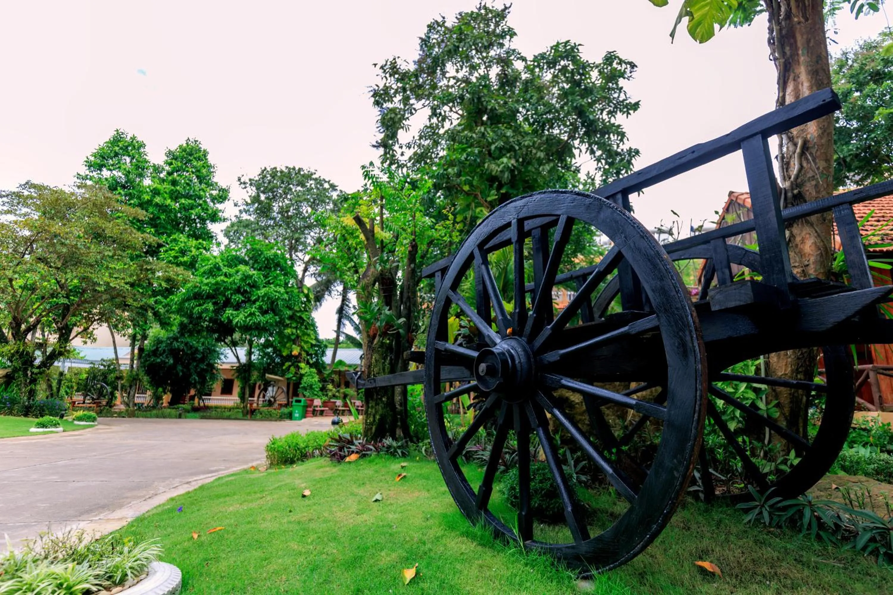 Natural landscape in Kim Hoa Resort