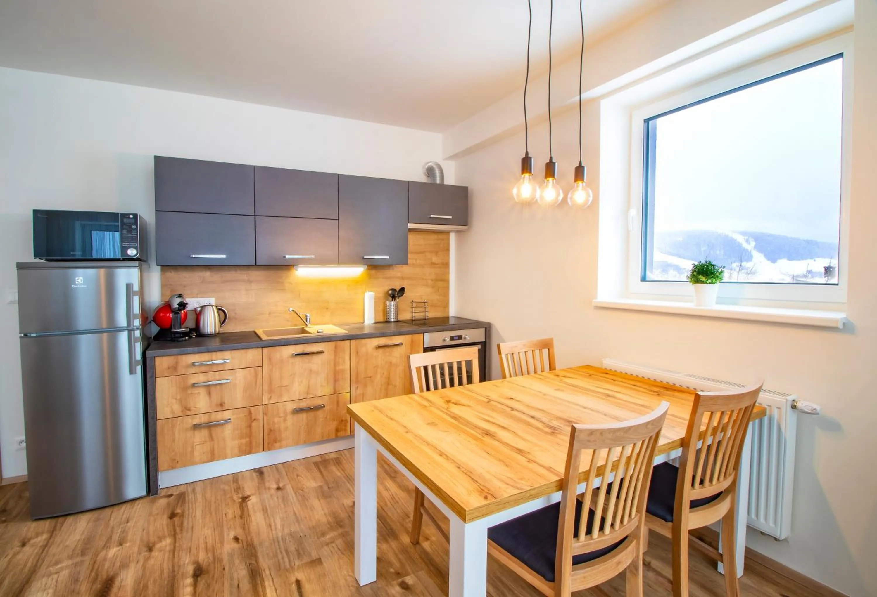 Kitchen or kitchenette in Aparthotel Klínovec Views