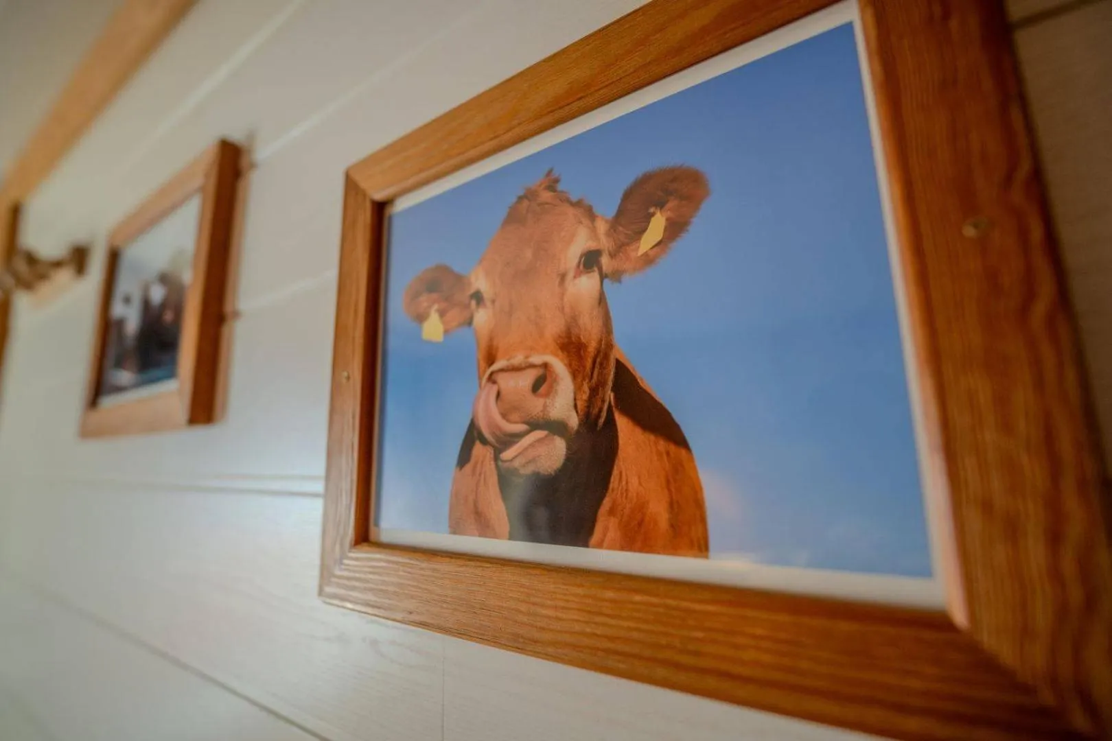 Decorative detail in Hôtel du Centre