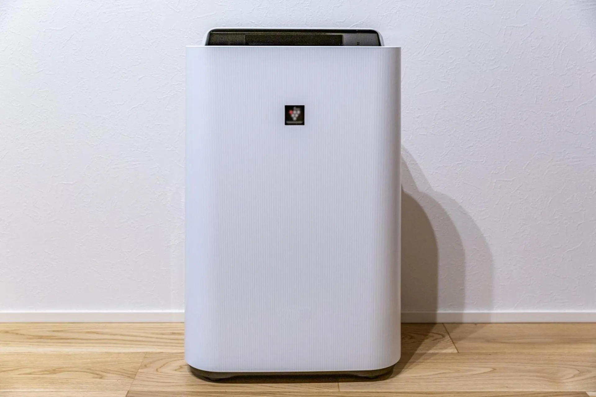 Photo of the whole room in Hotel Francs