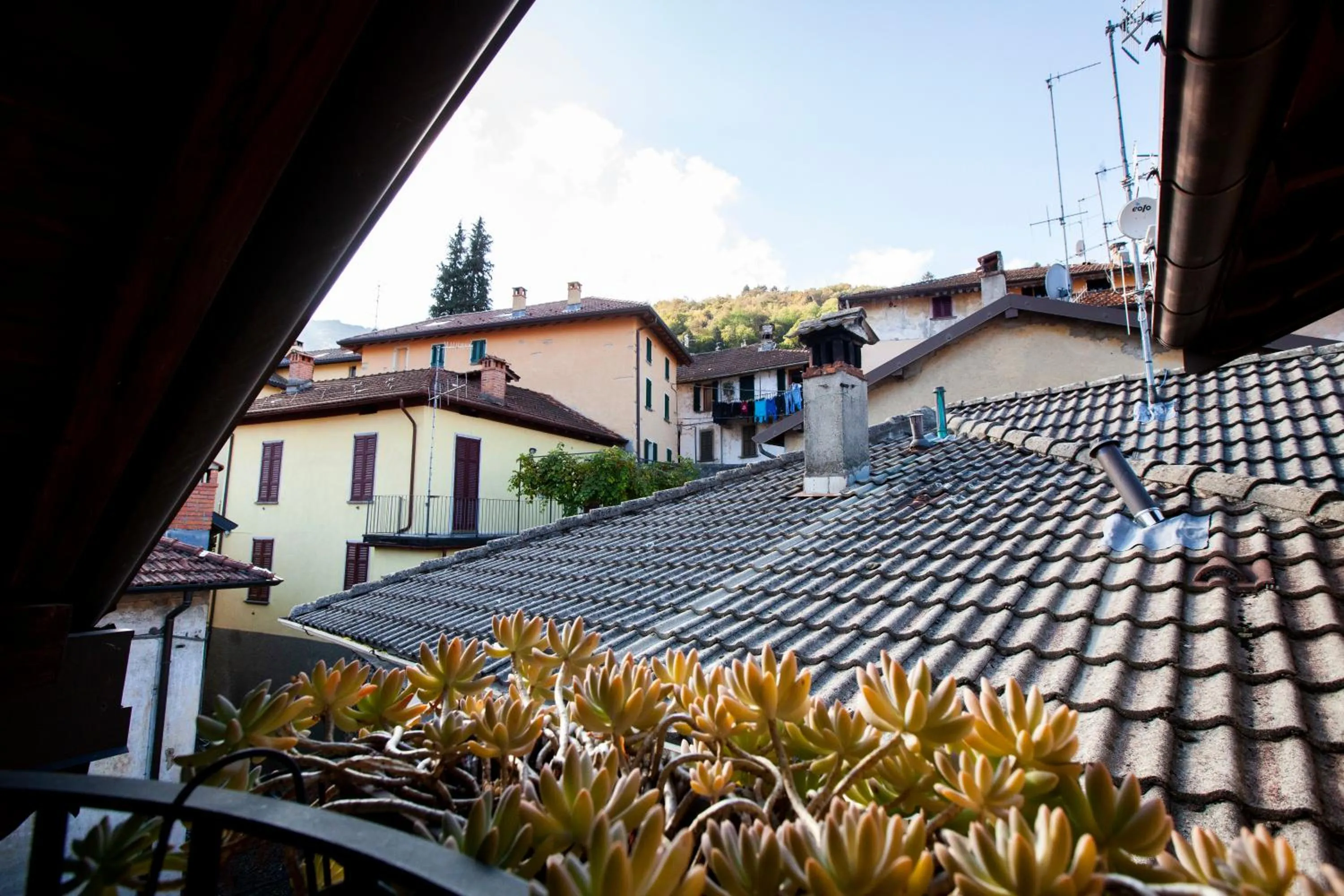 Quiet street view in Antica Molina