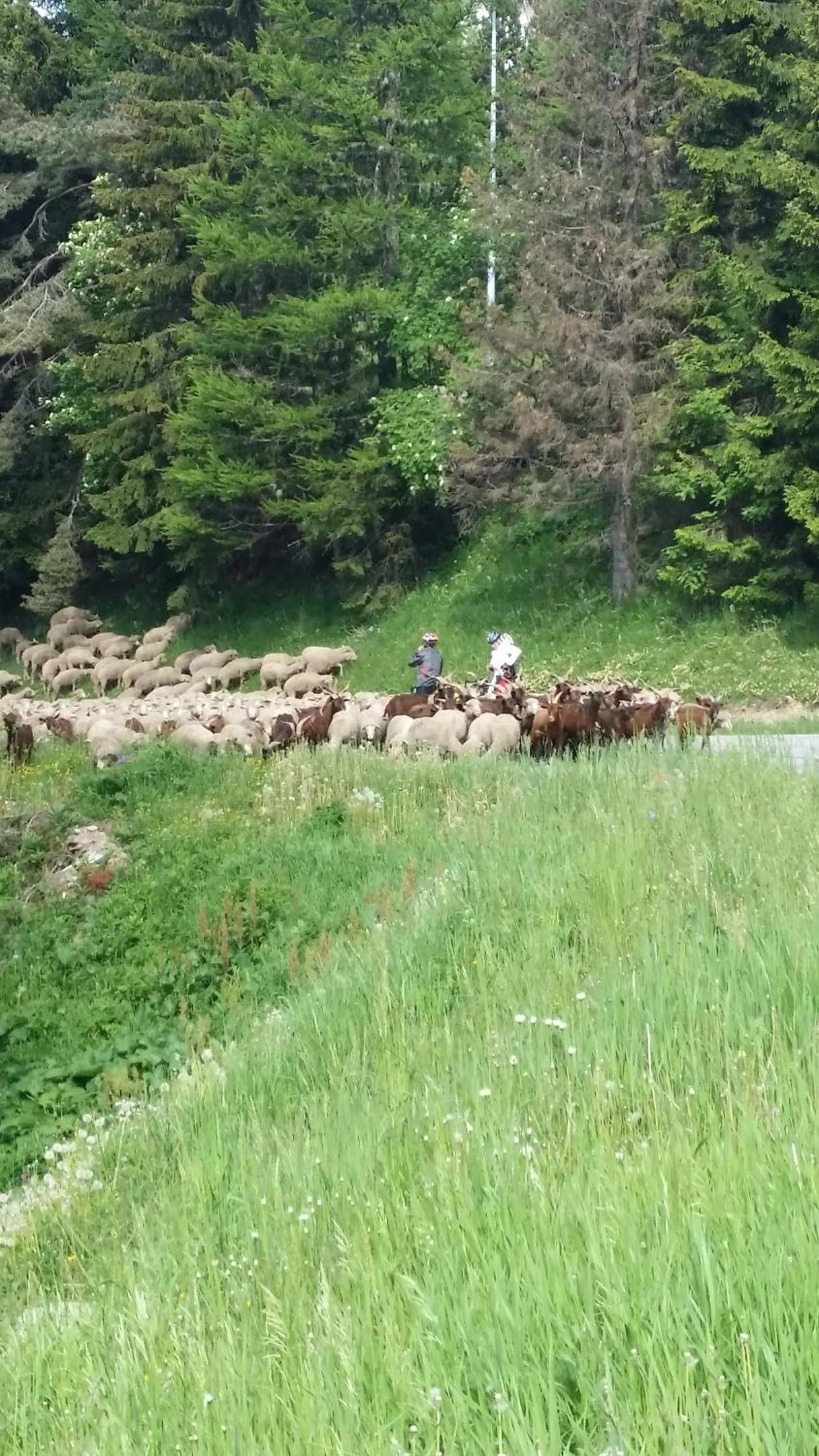 Natural landscape in Auberge Restaurant du Virage