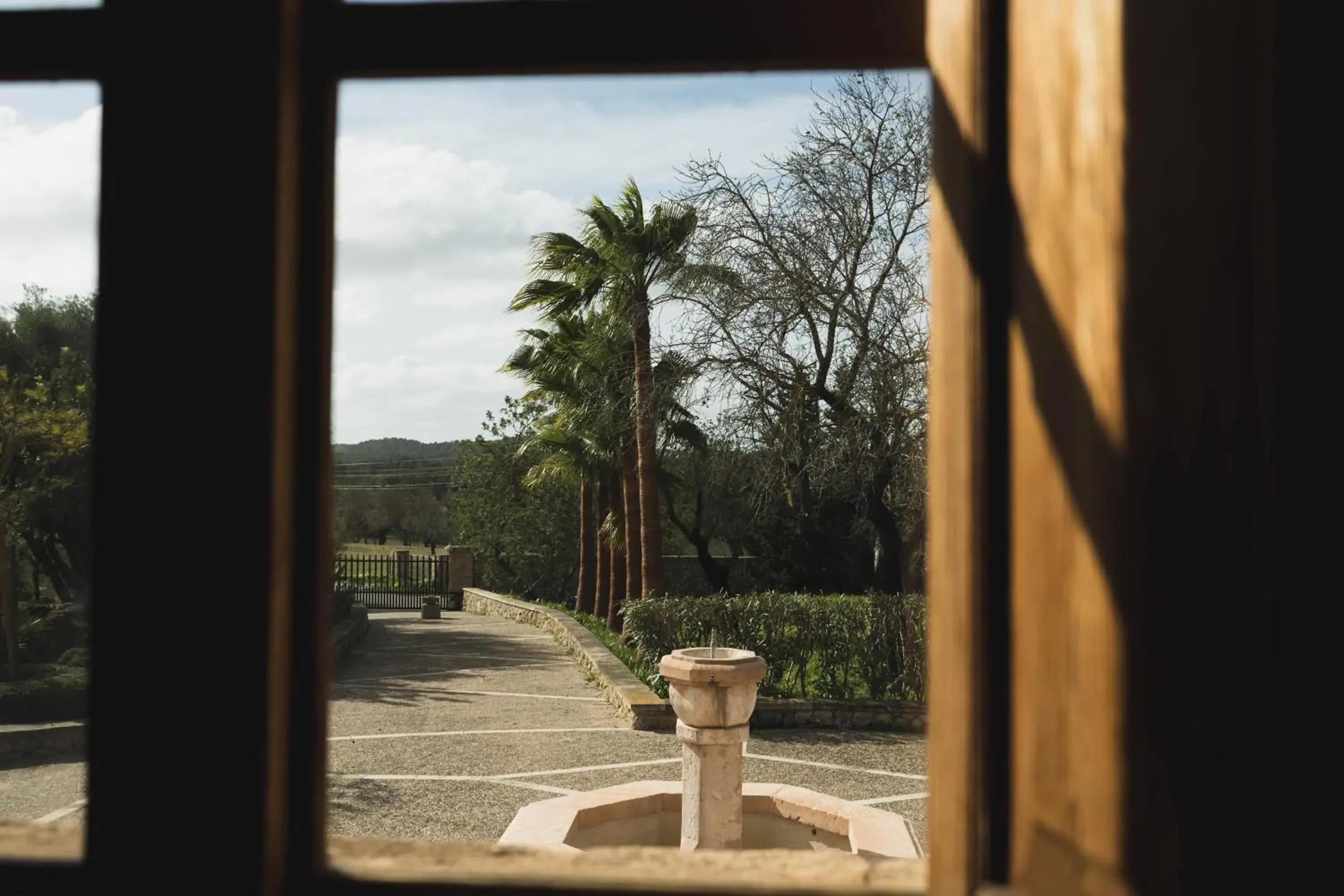 Garden view in Finca Can Estades Garden view in Finca Can Estades