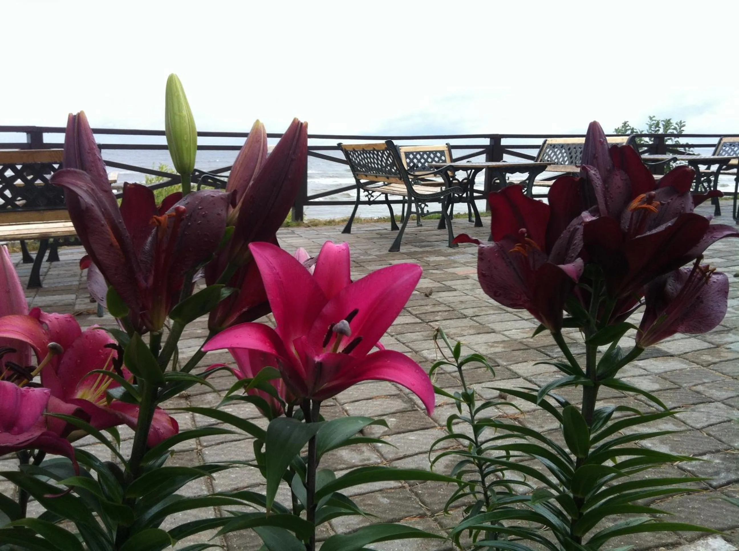 Balcony/Terrace in Villa Anna