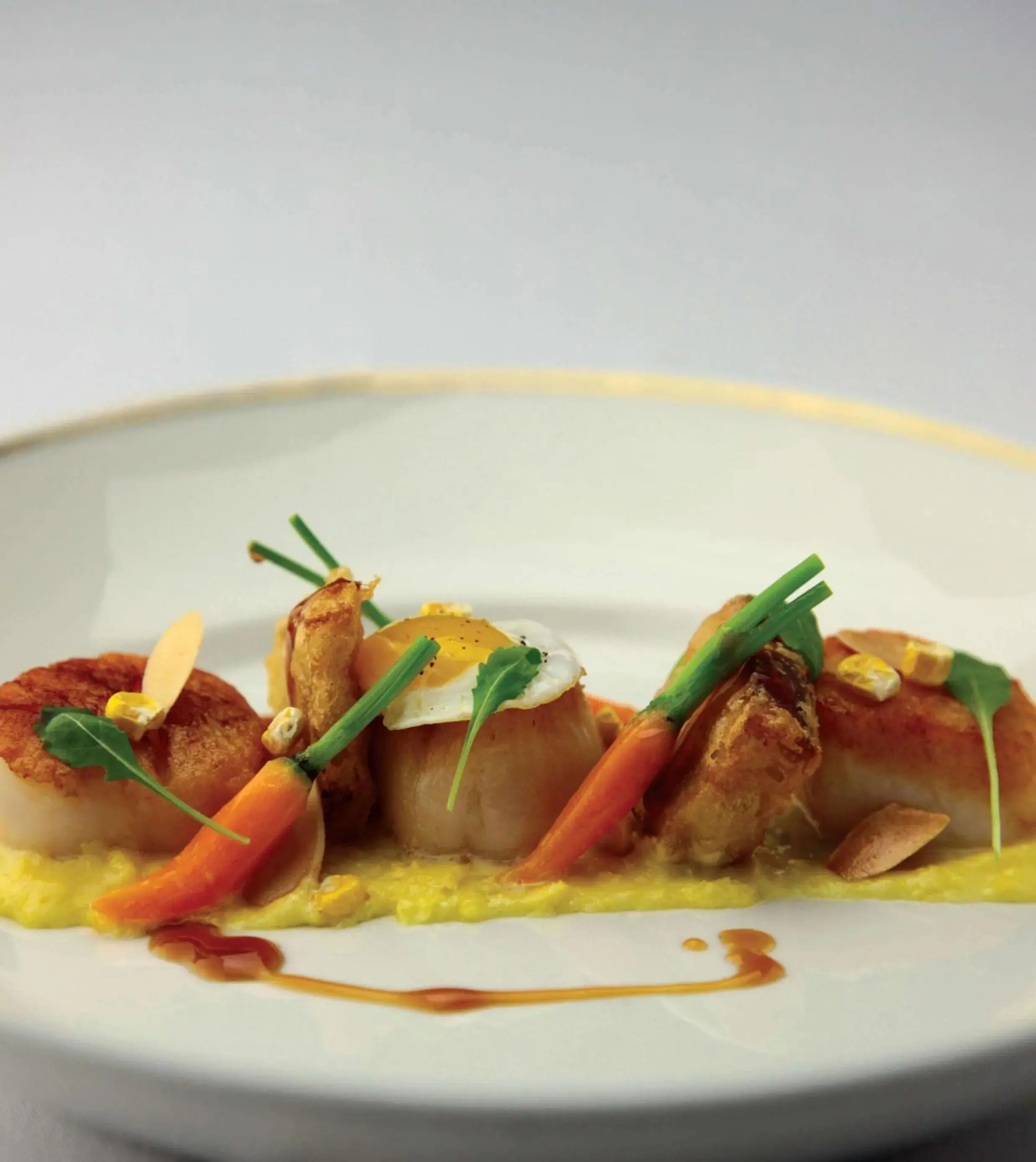 Restaurant/places to eat in Hilton Cincinnati Netherland Plaza Restaurant/places to eat in Hilton Cincinnati Netherland Plaza