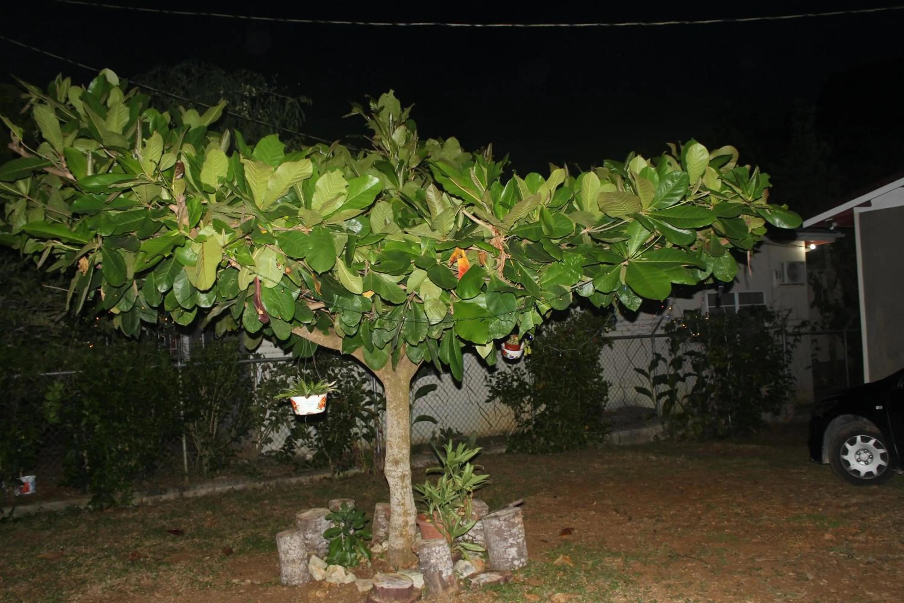 Garden view in ritashomeawayfromhome