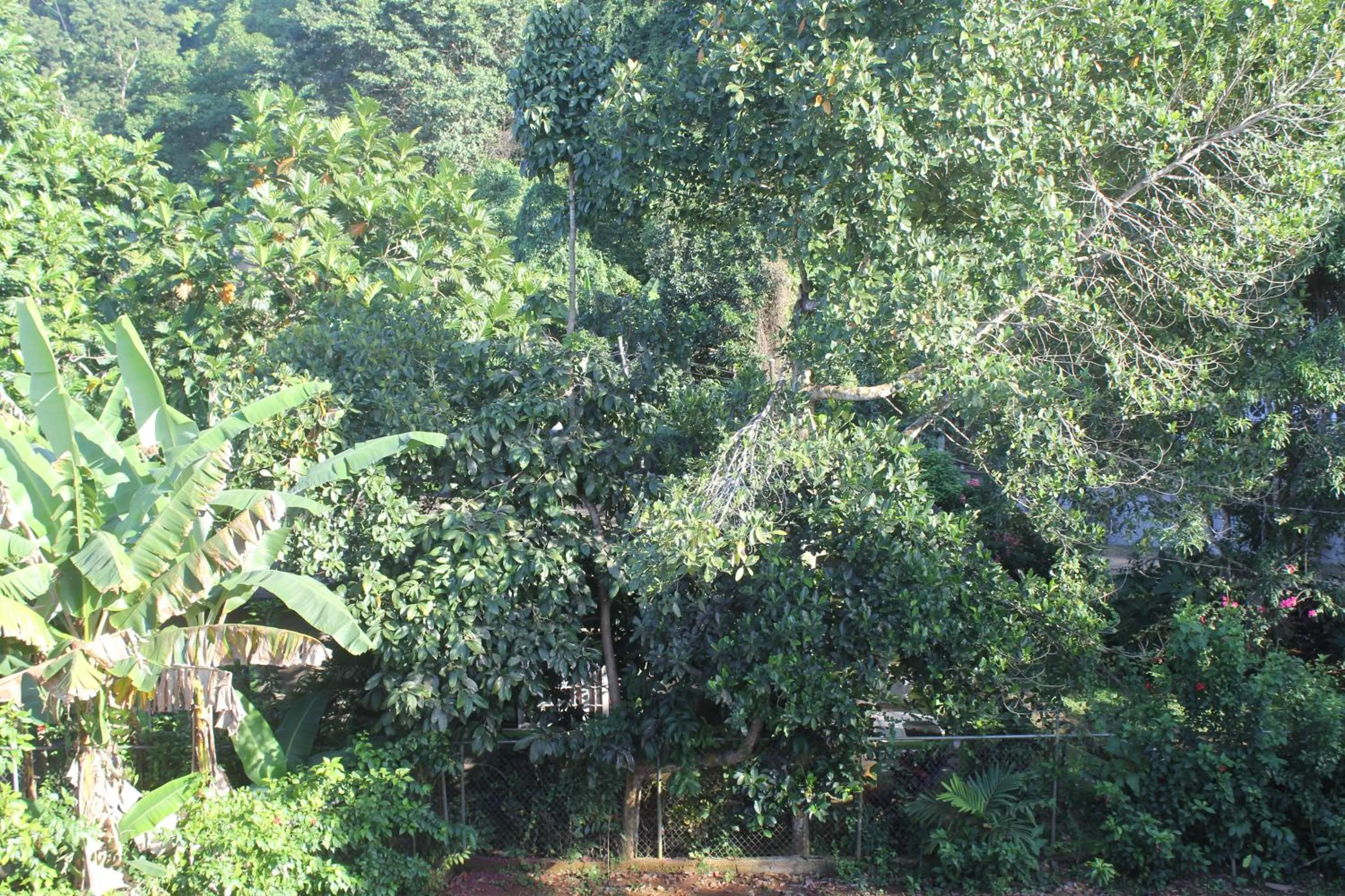 View (from property/room) in ritashomeawayfromhome