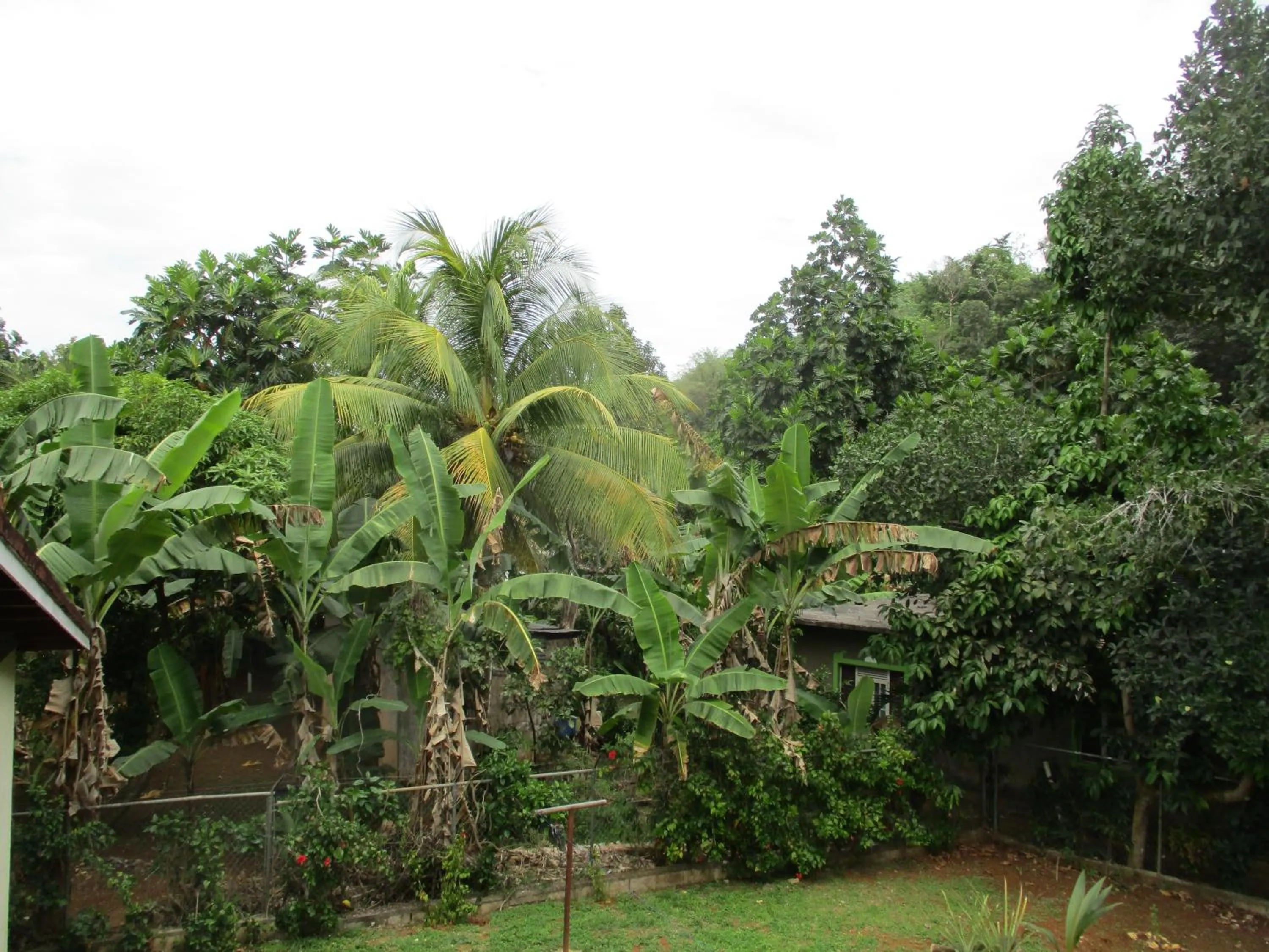 Garden view in ritashomeawayfromhome