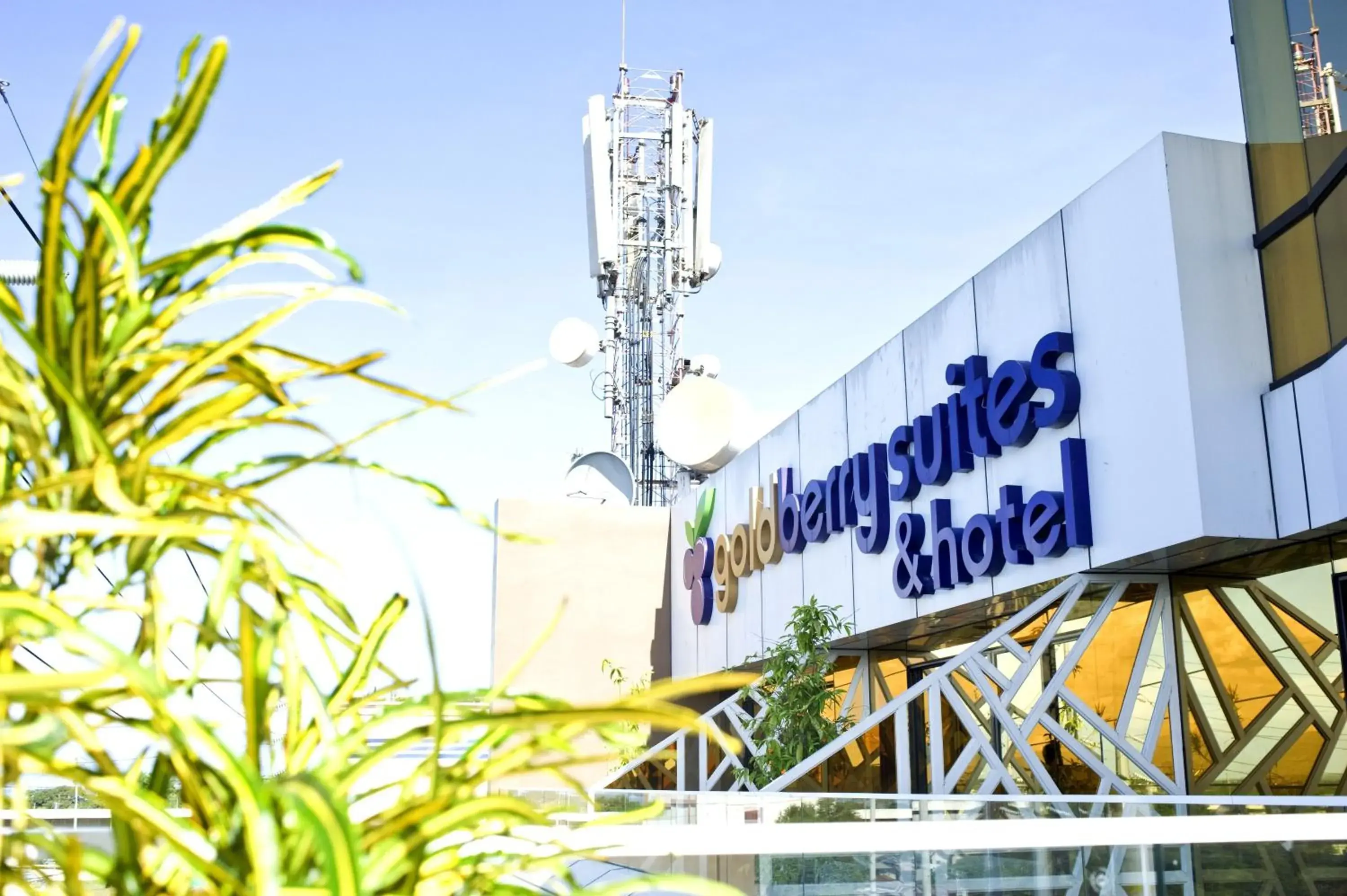 Property building in Goldberry Suites & Hotel Mactan Property building in Goldberry Suites & Hotel Mactan