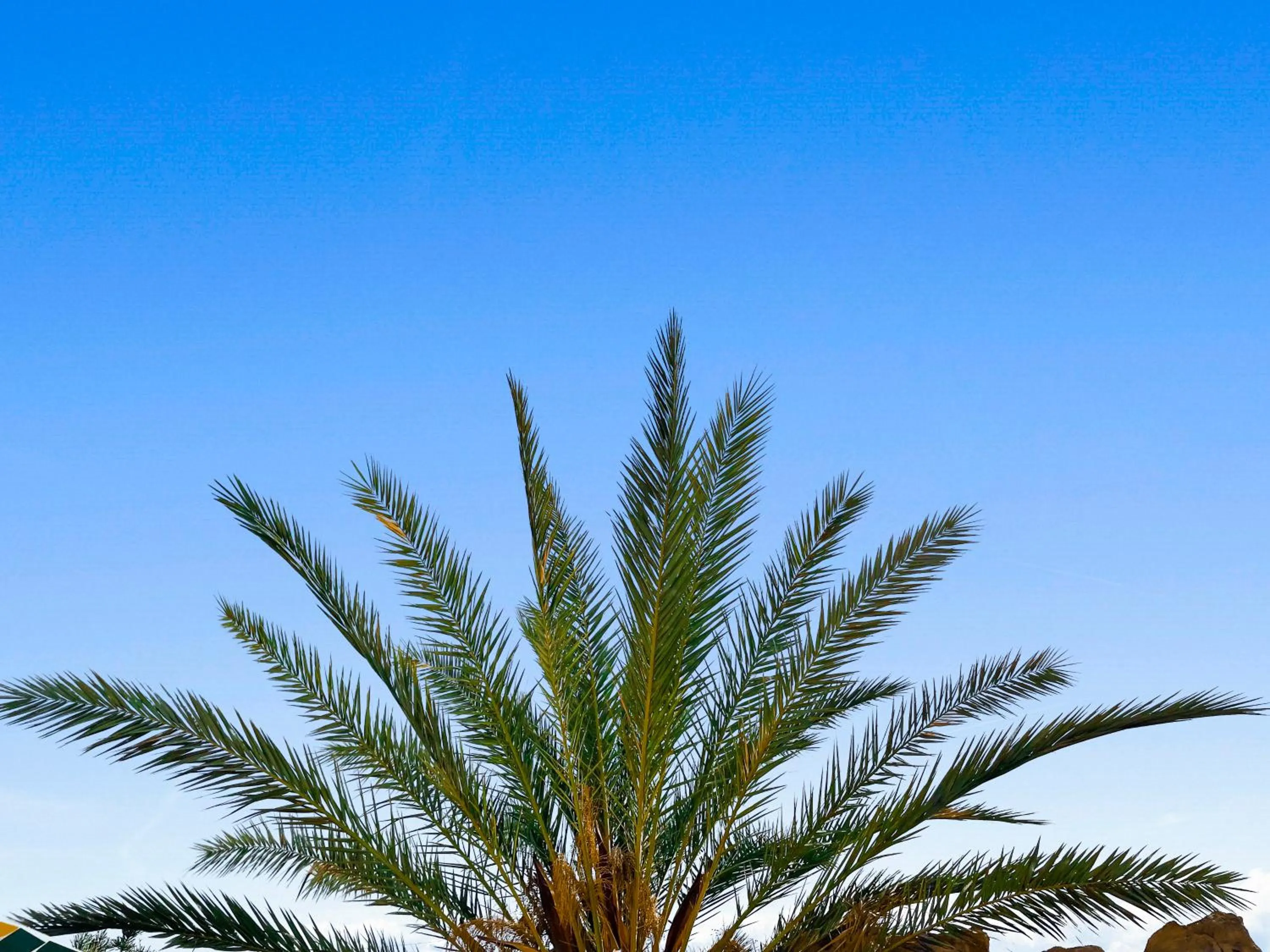 Garden in Parque Raquel
