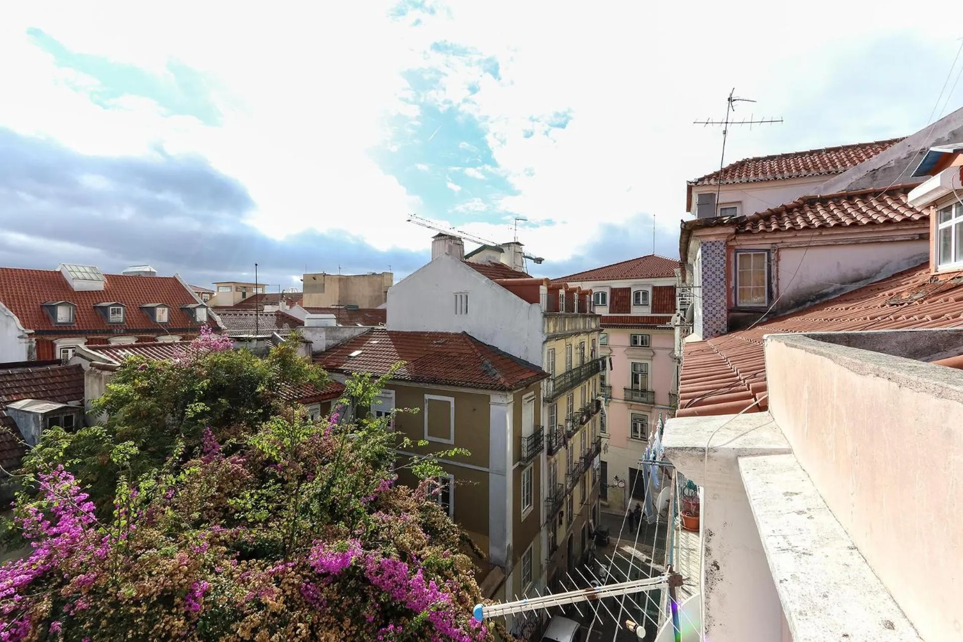 Other in Bairro Alto Views by Homing