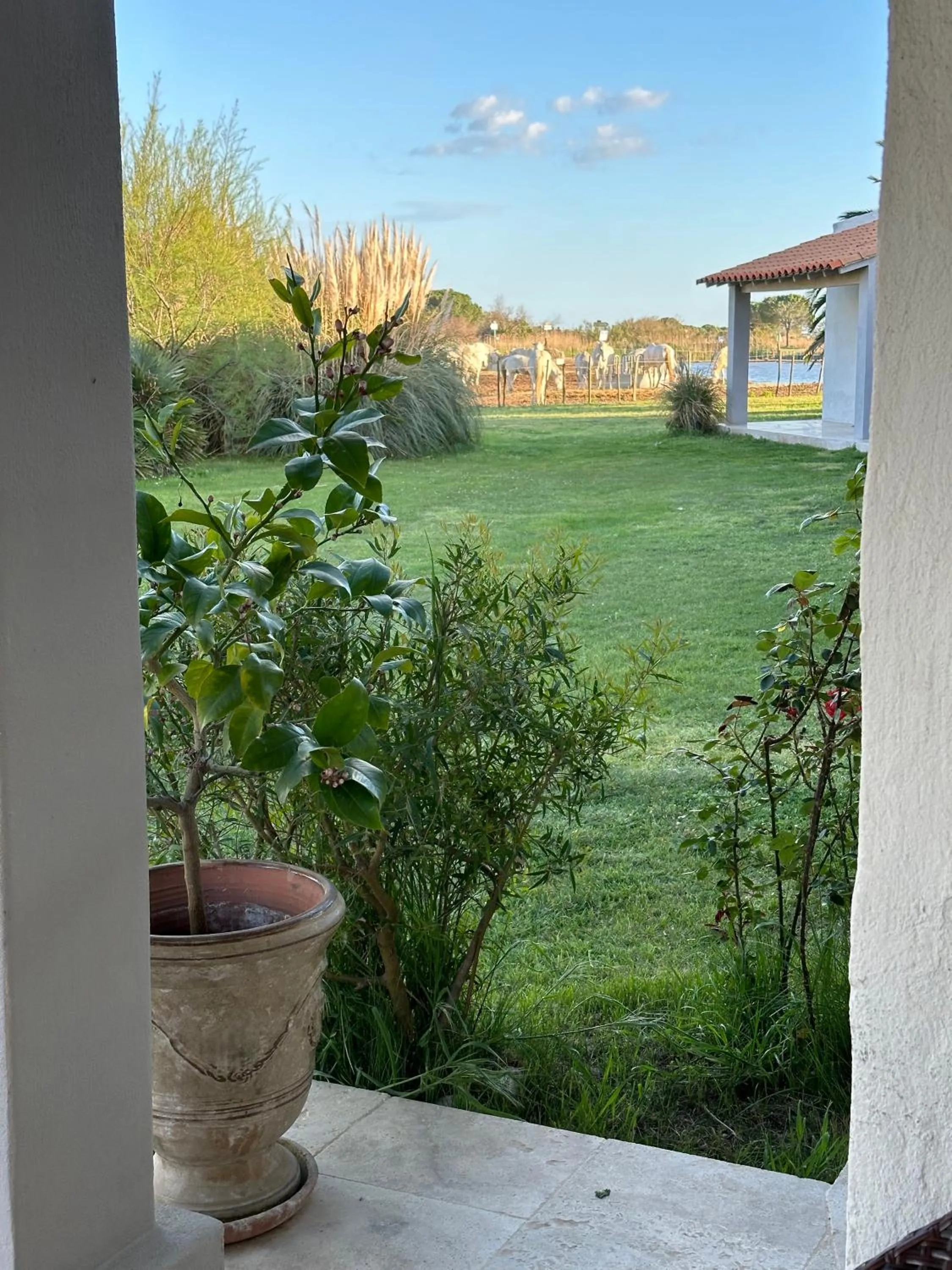 Comfort Double Room with Terrace in Hotel Mas Des Barres