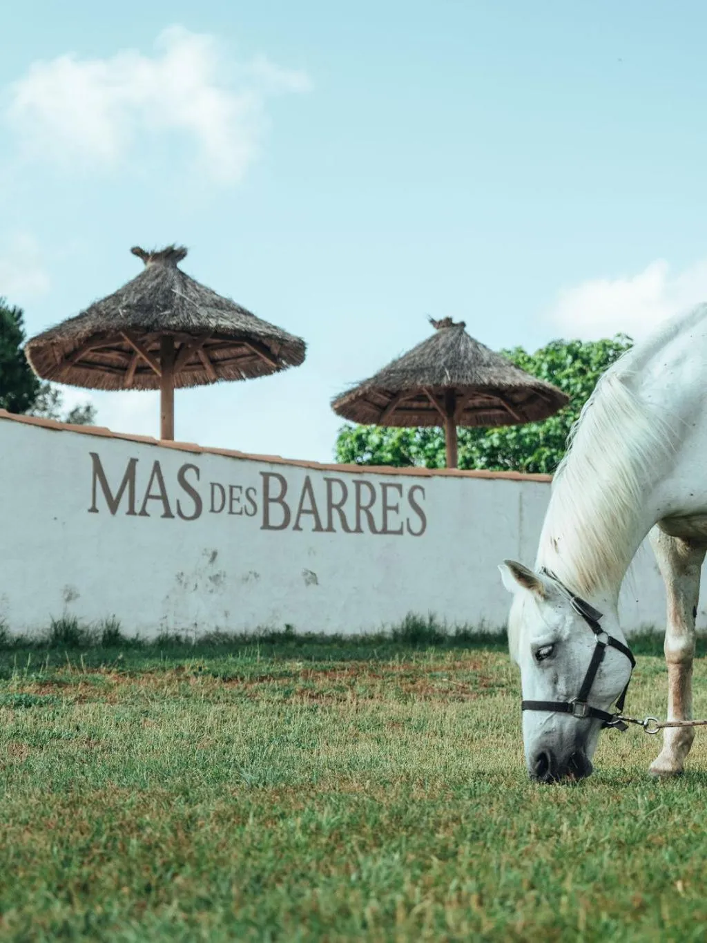 Hotel Mas Des Barres