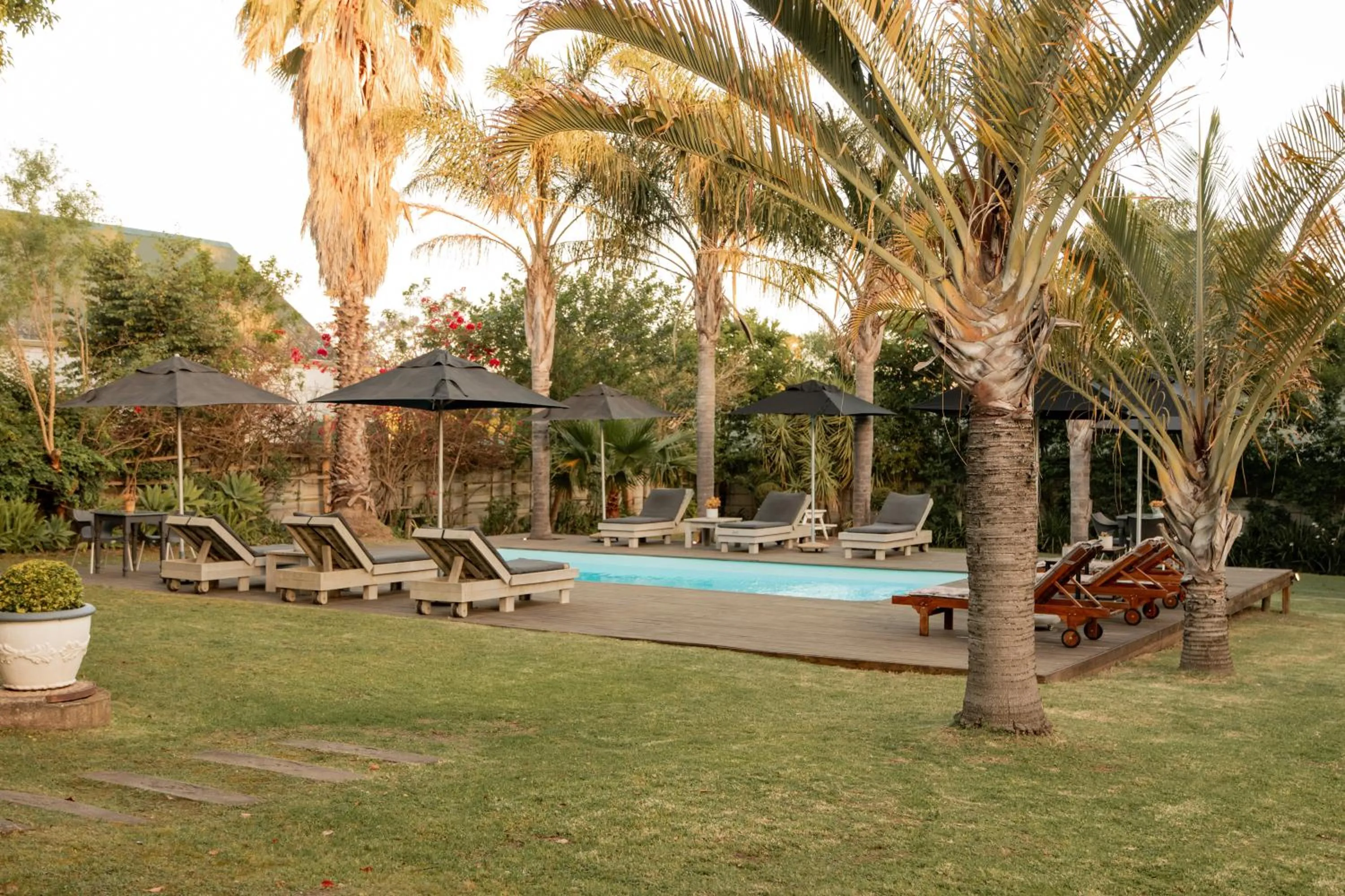 Swimming pool in Elianthe Guesthouse