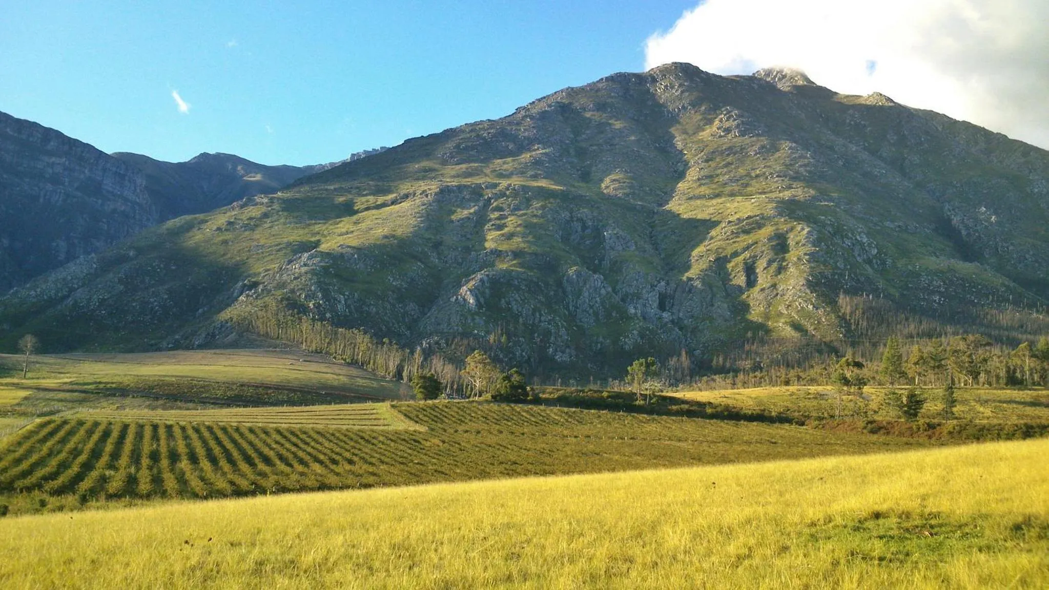 Off site in Elianthe Guesthouse