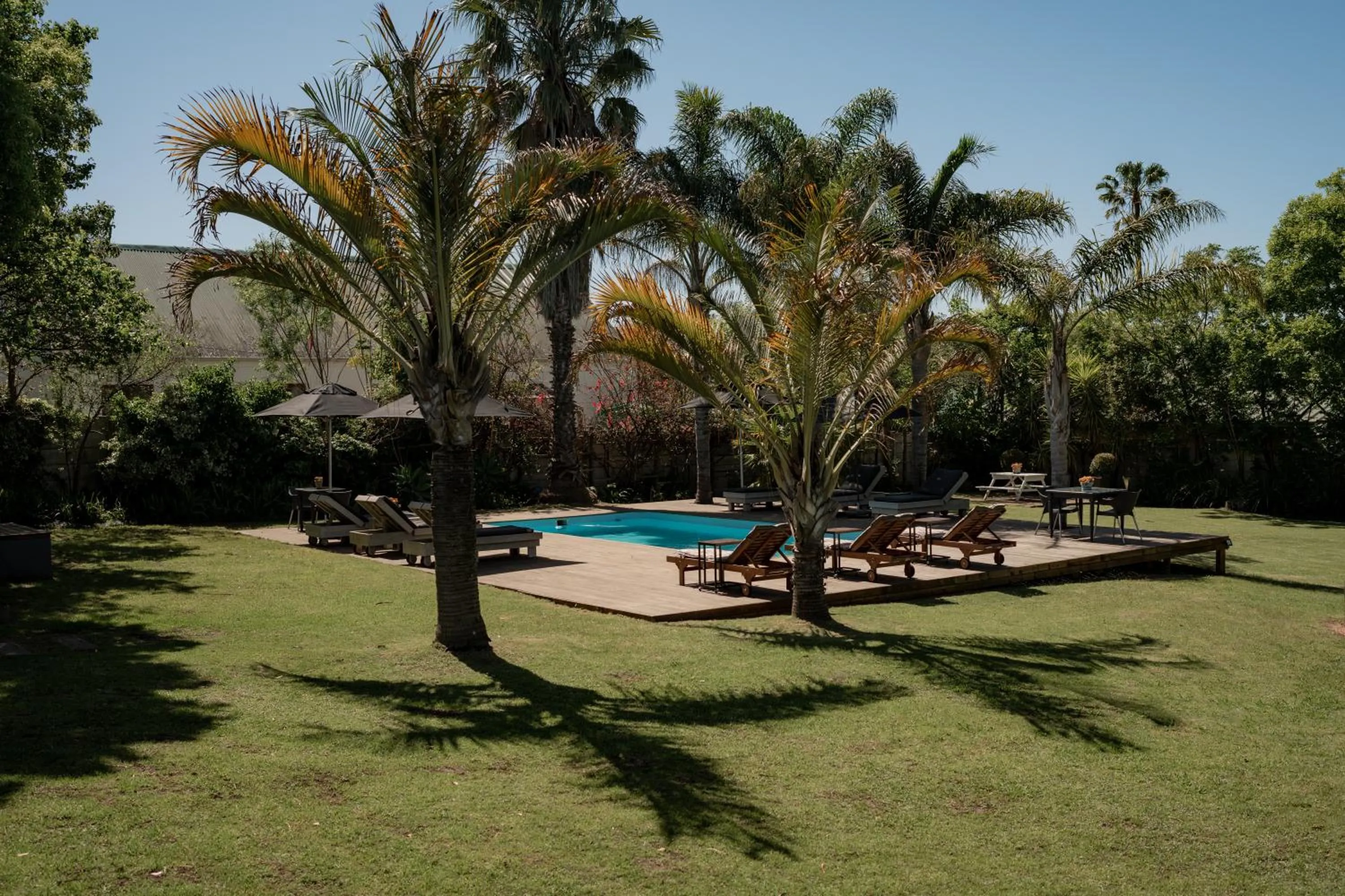Garden in Elianthe Guesthouse