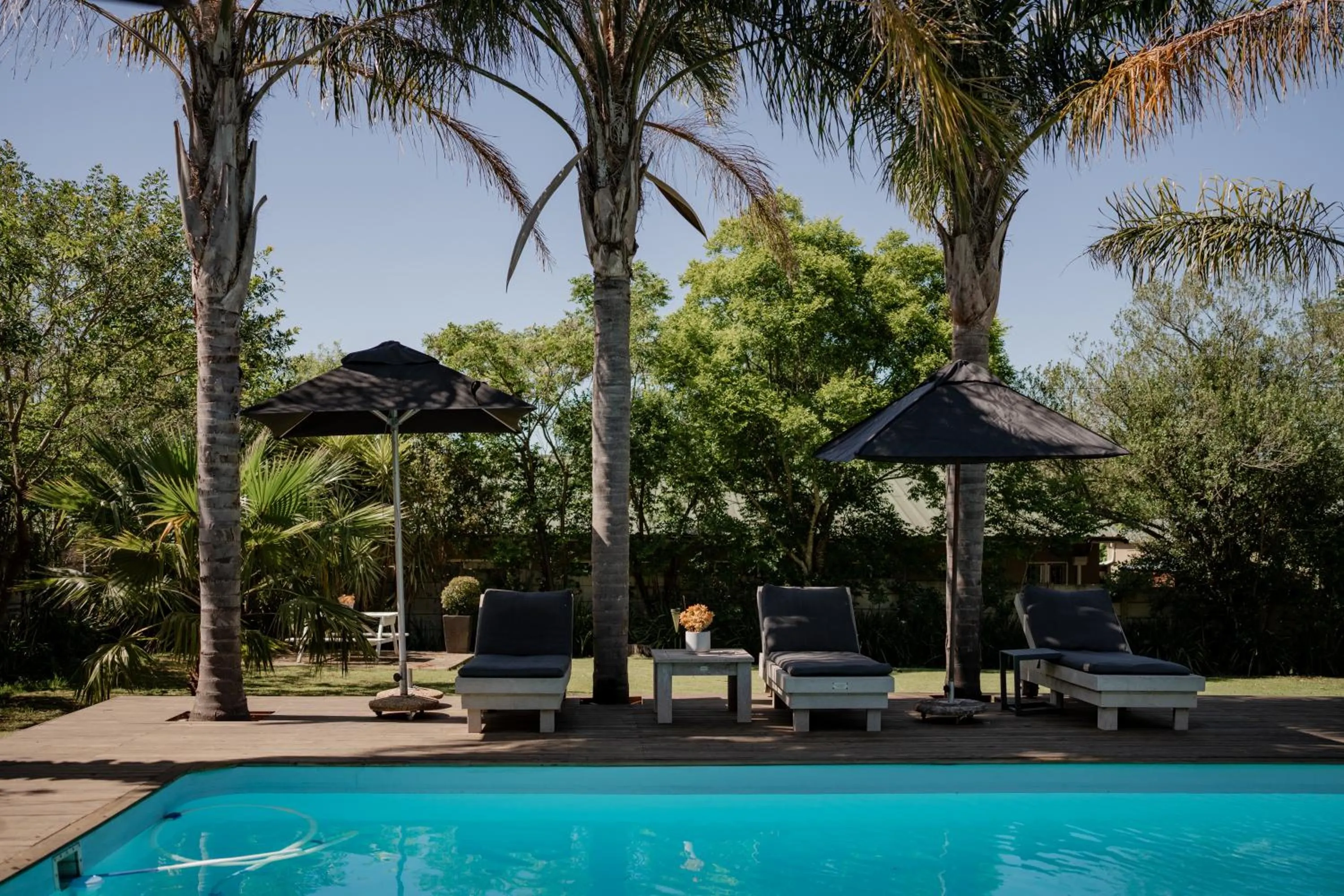 Garden in Elianthe Guesthouse