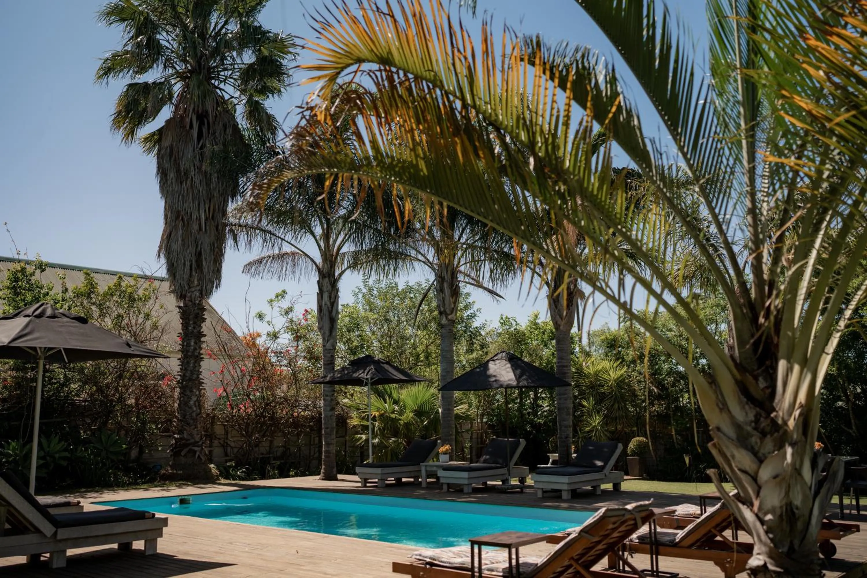 Swimming pool in Elianthe Guesthouse