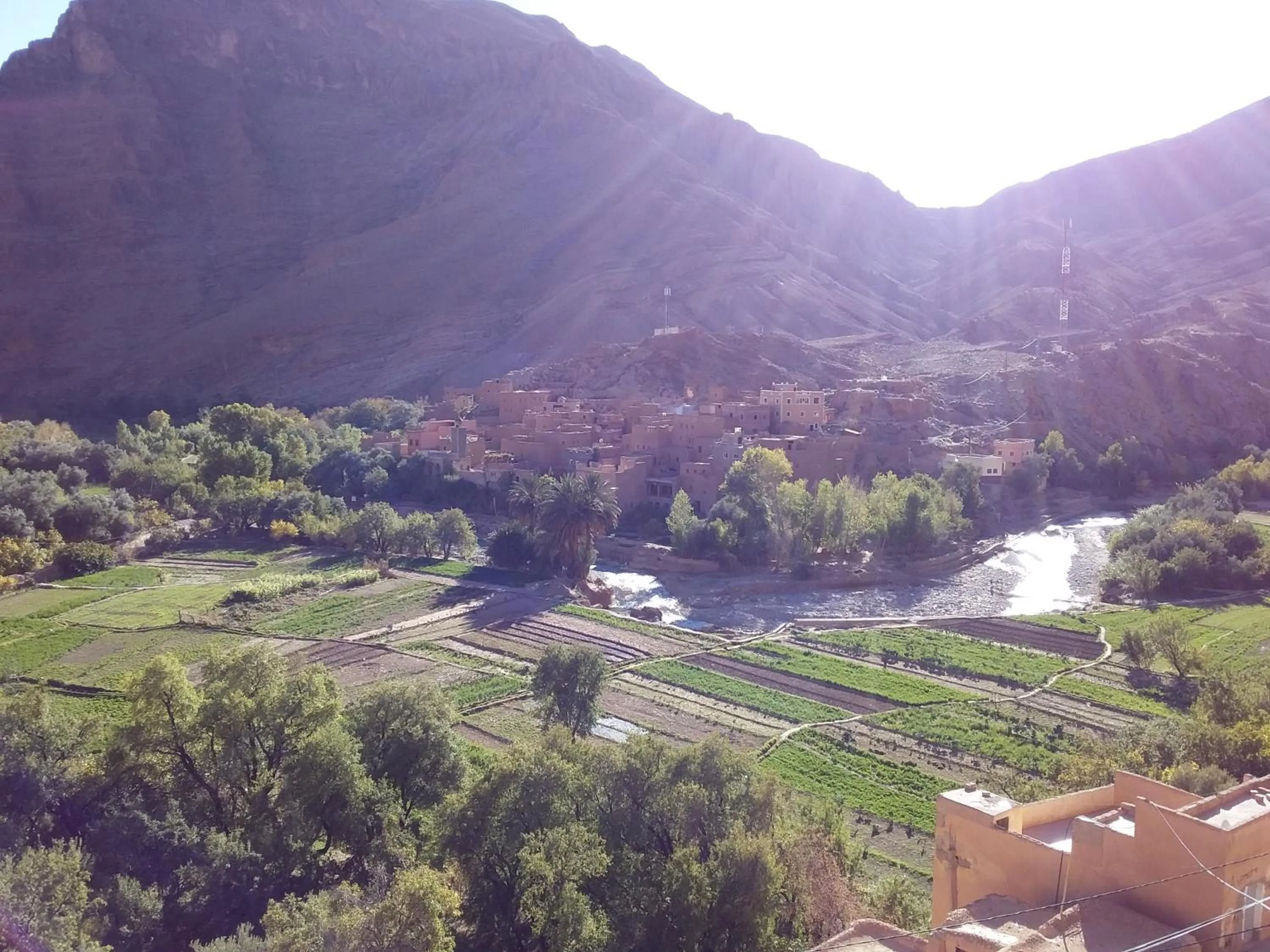 Neighbourhood in Riad Sephora