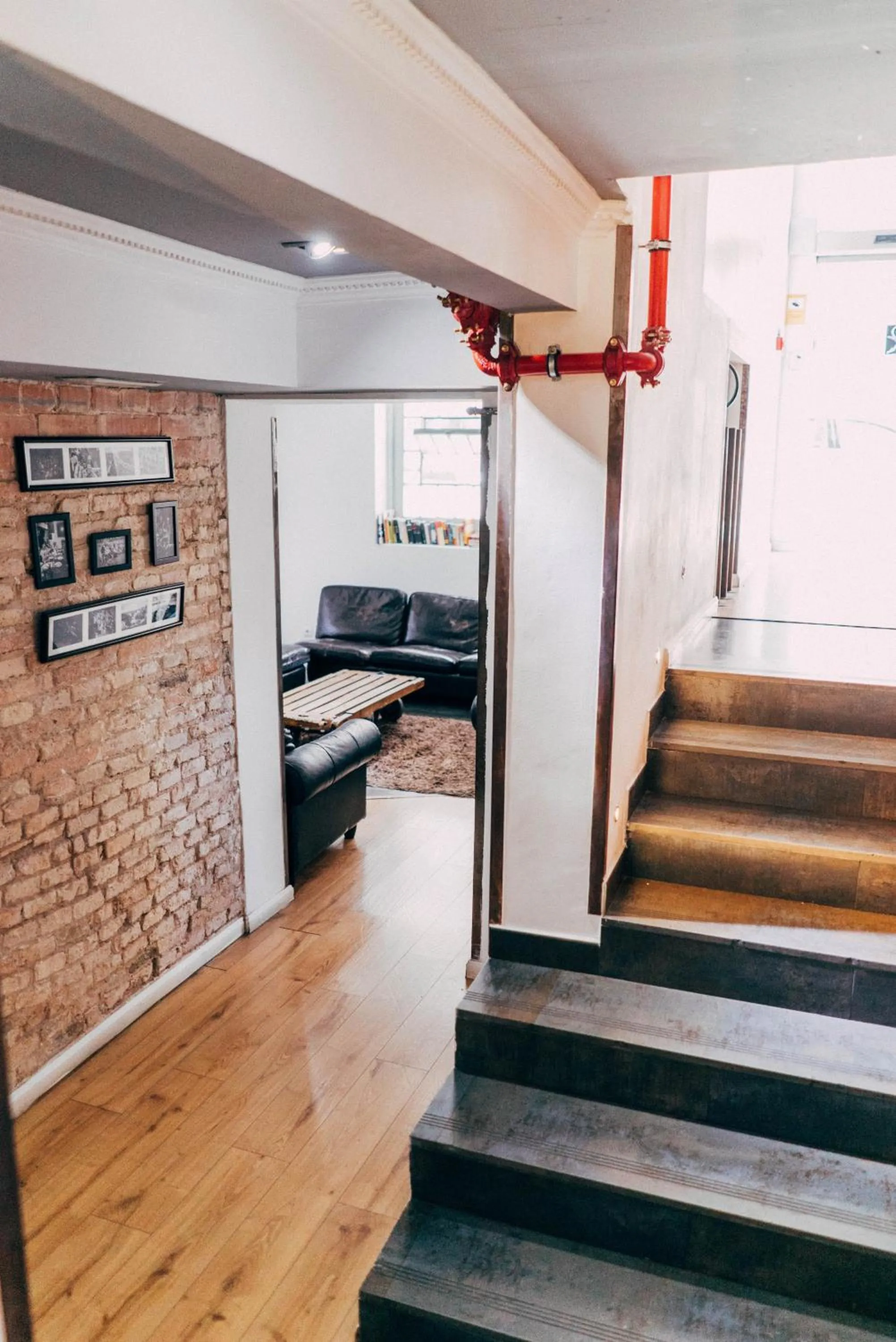 Communal lounge/ TV room in Black Swan Hostel