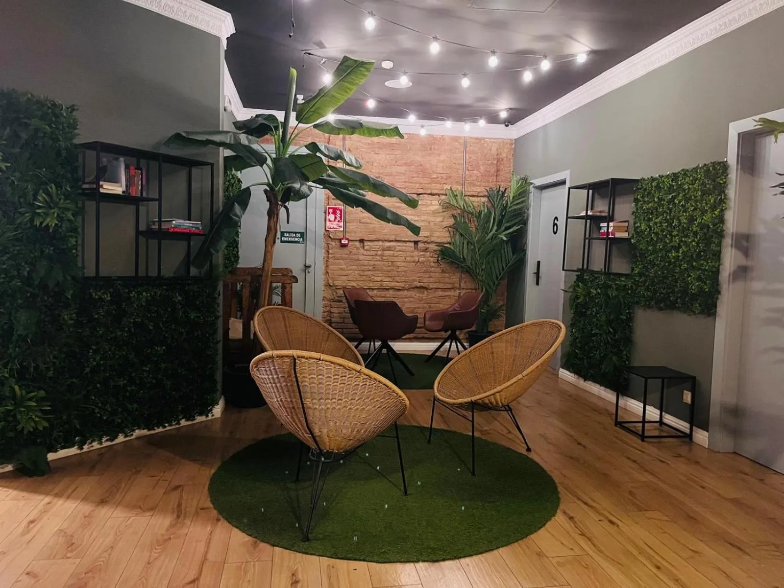 Living room in Black Swan Hostel