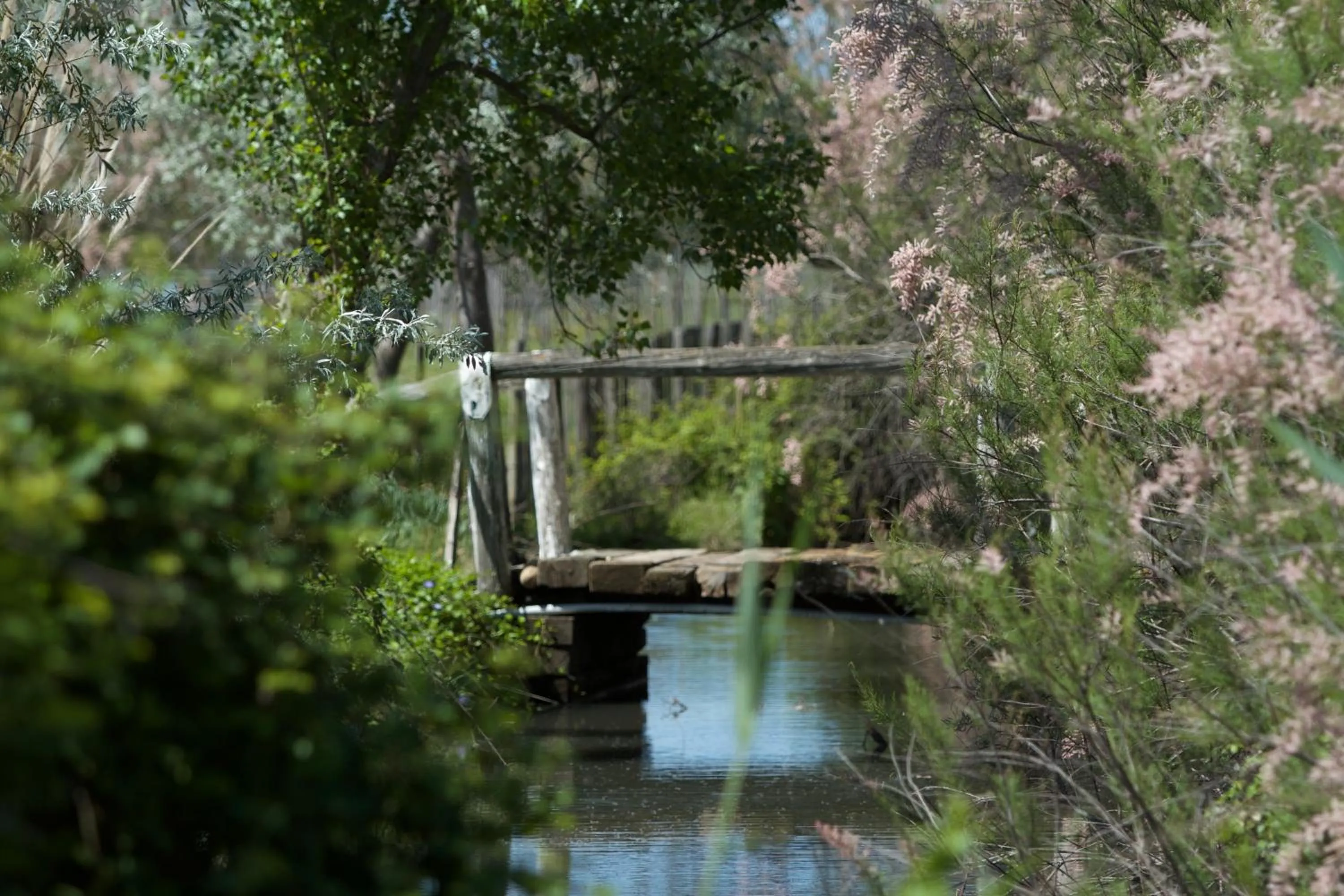 Nearby landmark in Hotel des Etuves