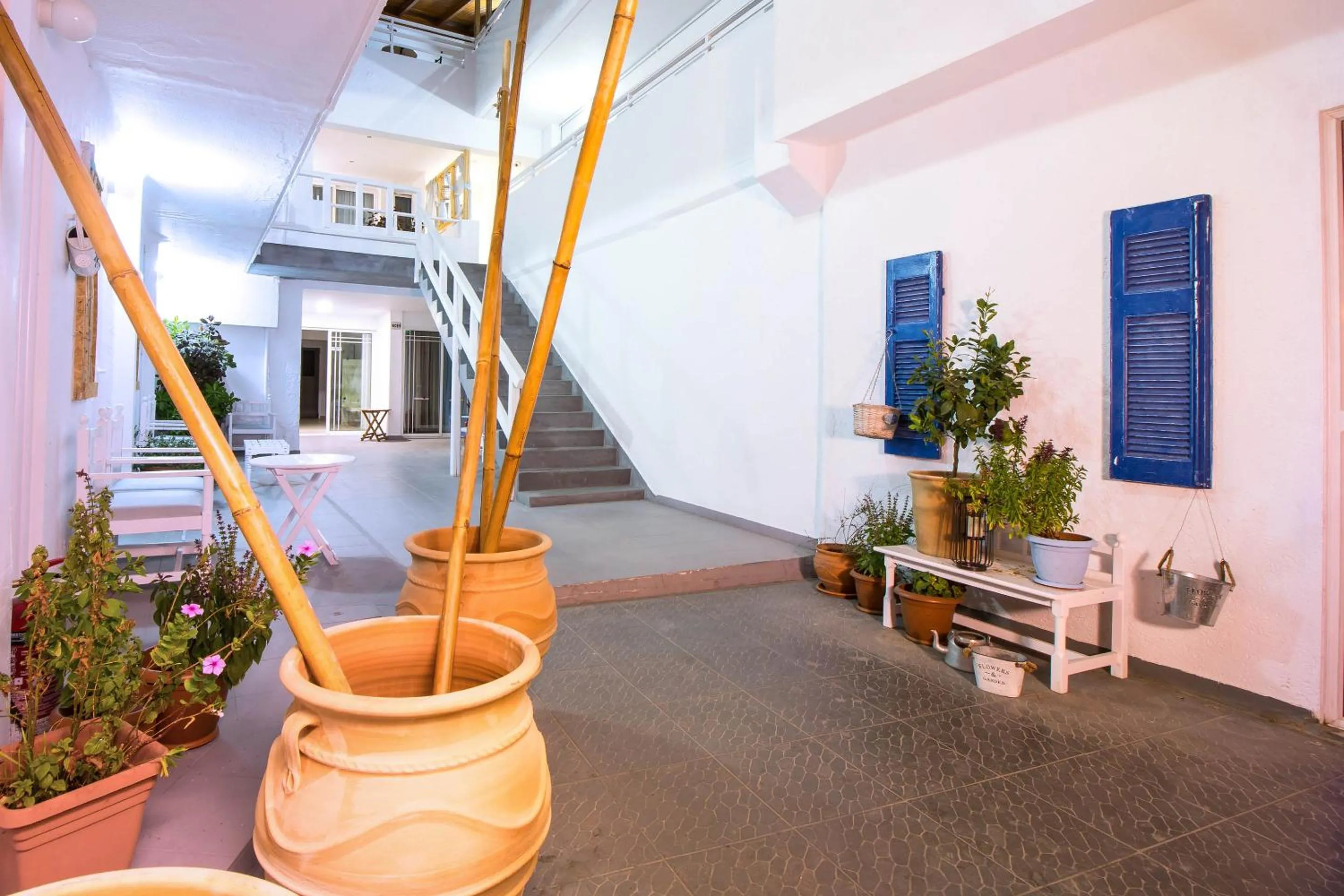 Area and facilities in Tinas Plus Hotel