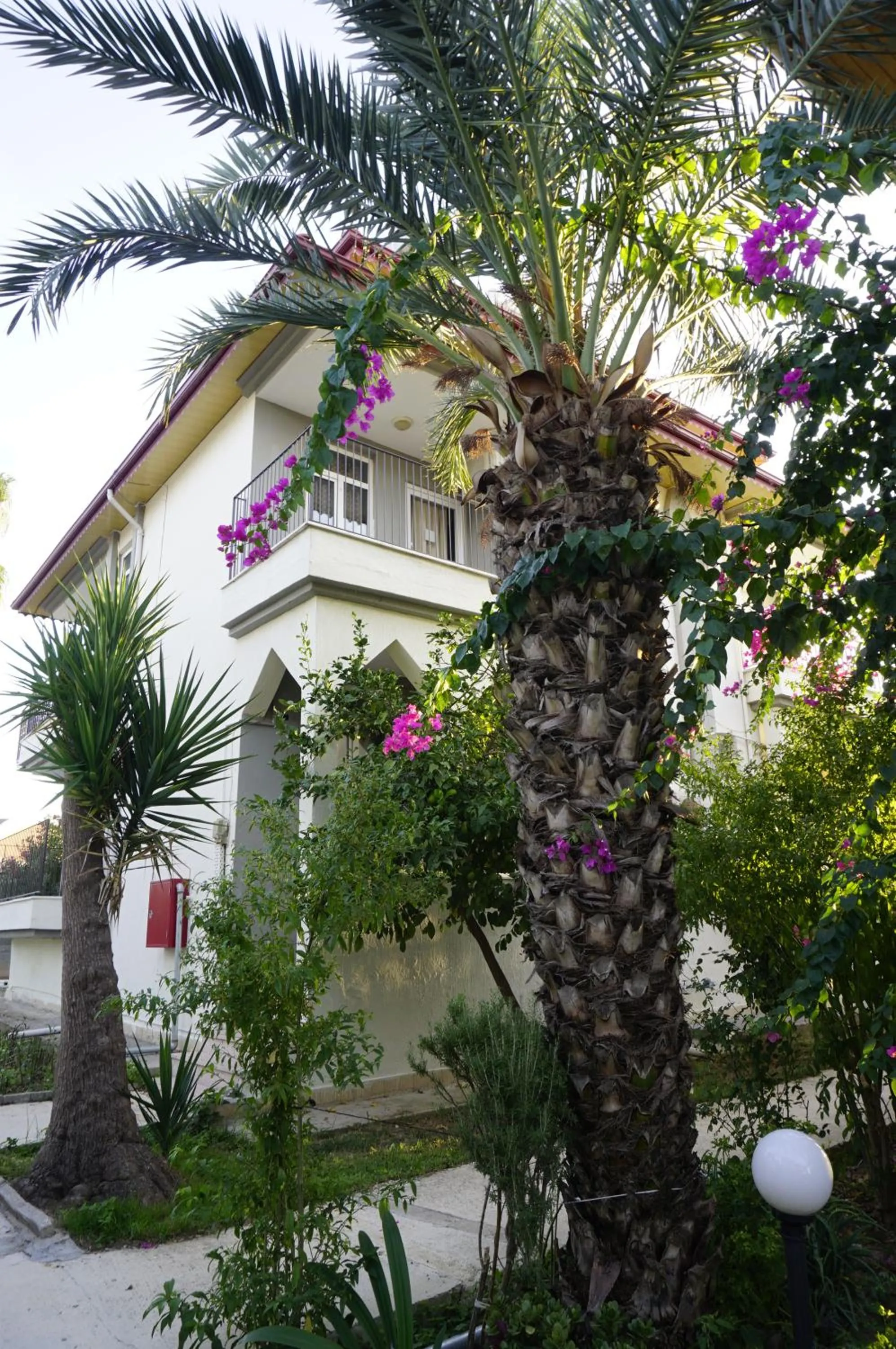 Garden in Sunlight Garden Hotel