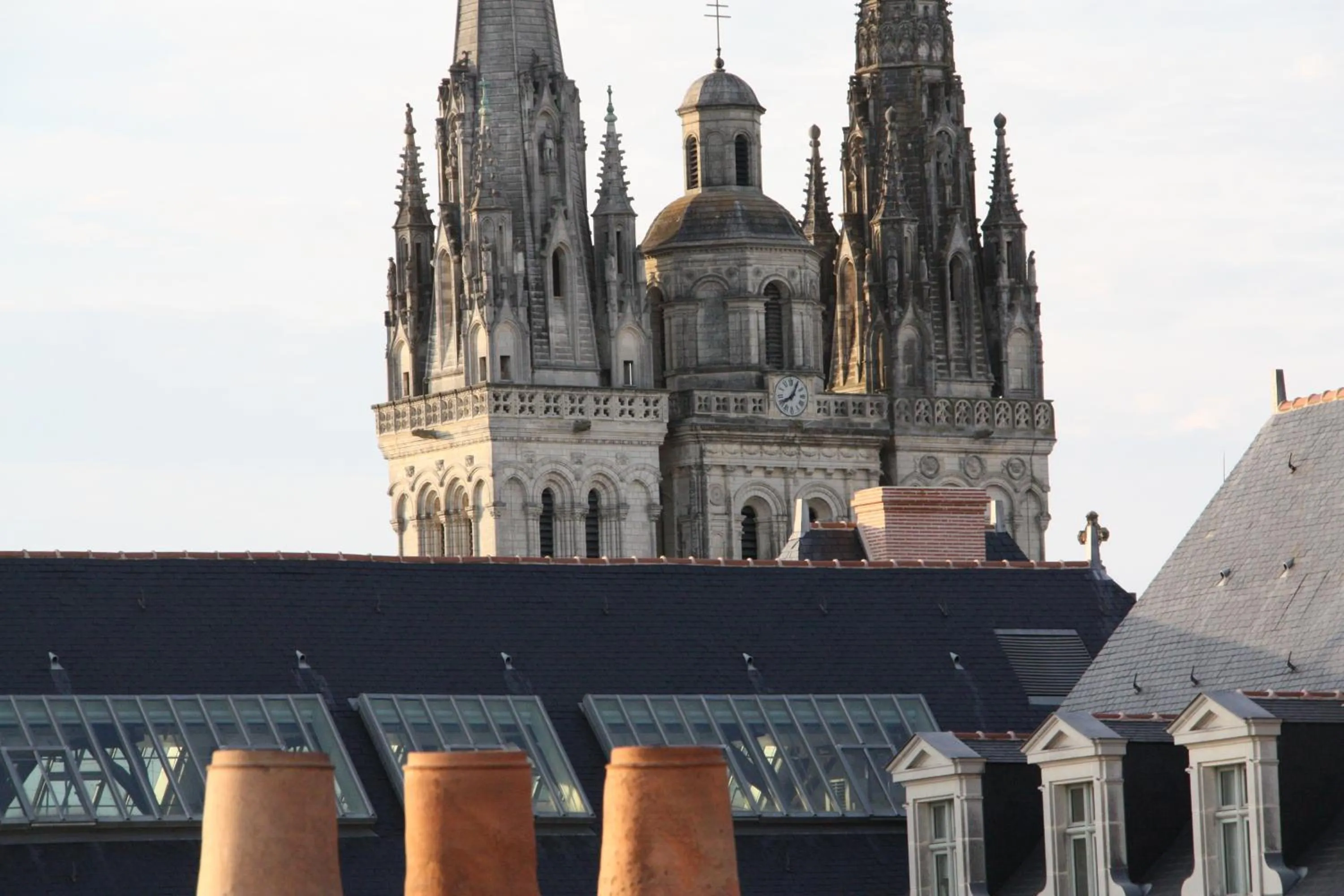 Area and facilities in Hotel Des Lices - Angers