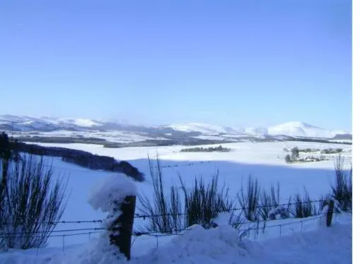 View (from property/room) in The Commercial Hotel