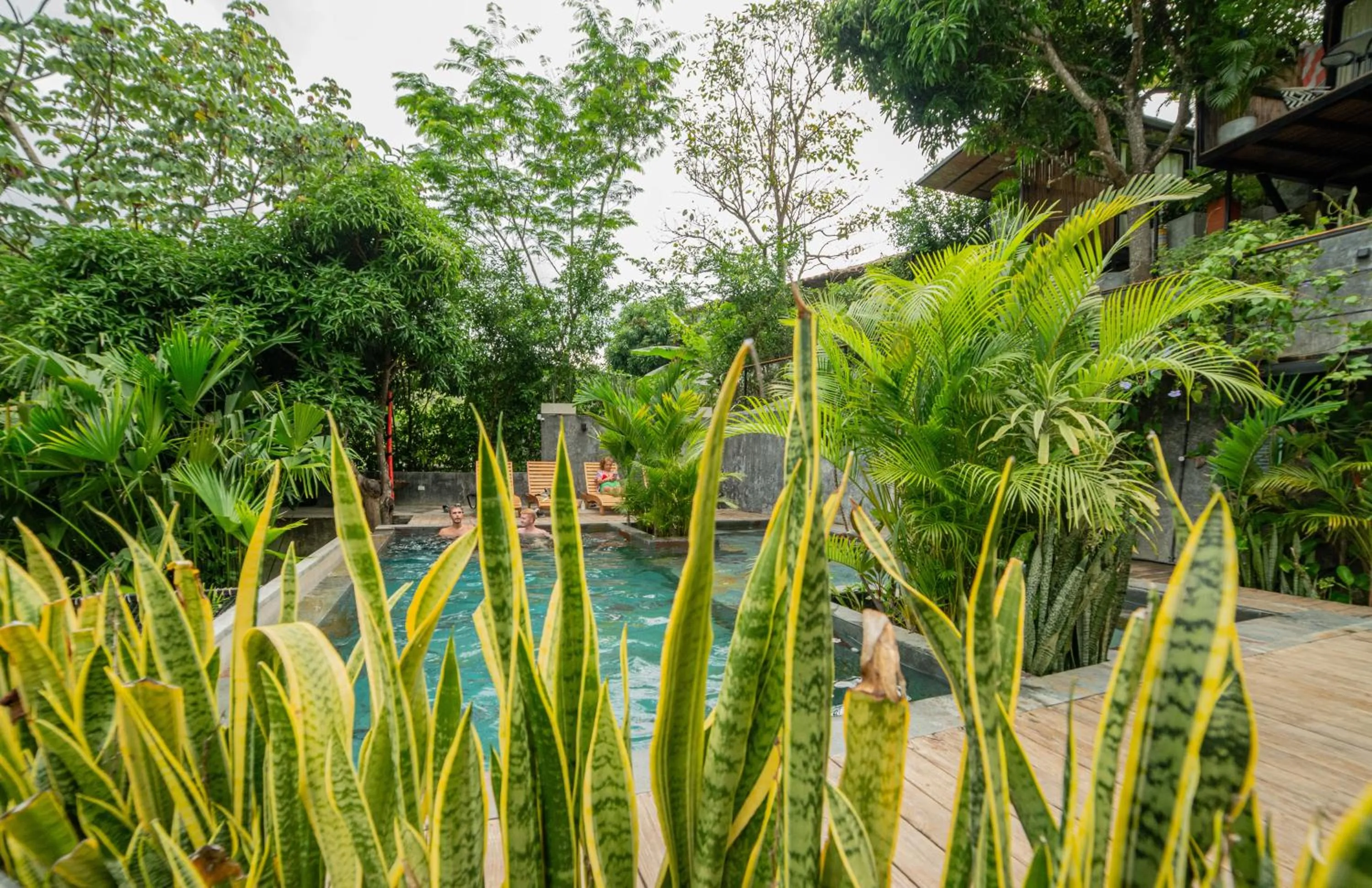 Natural landscape in Costeño River Minca