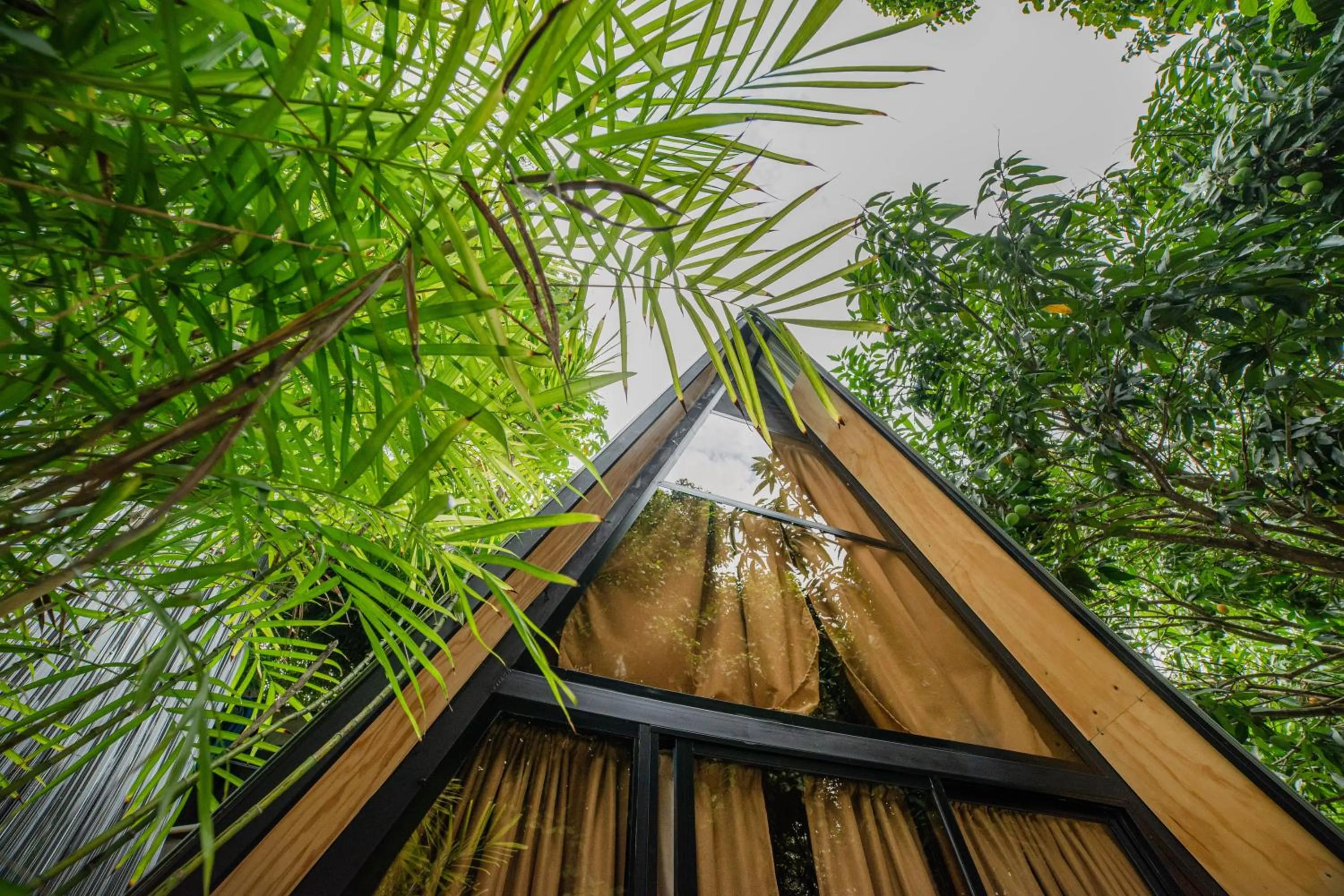 Natural landscape in Costeño River Minca