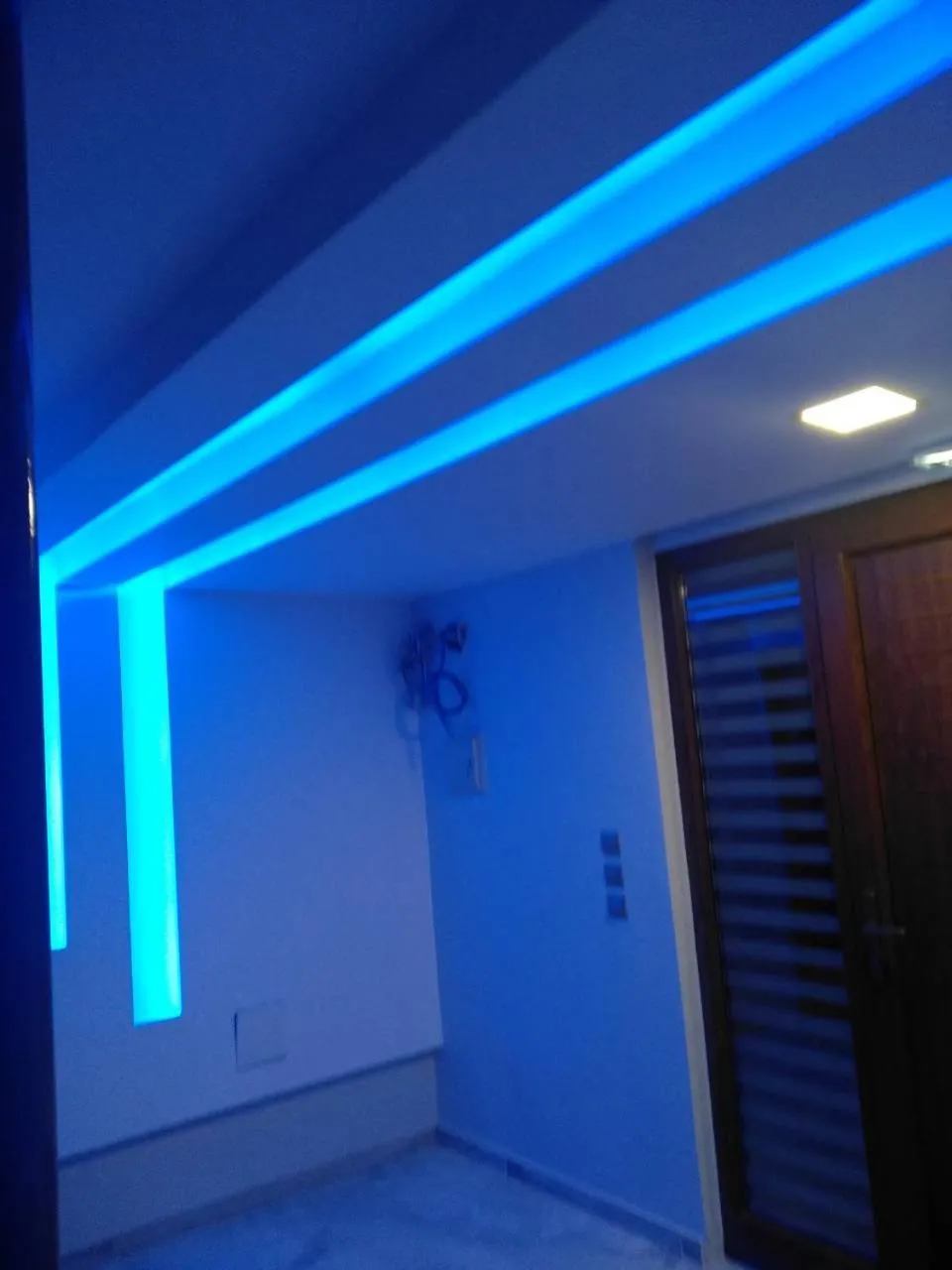 Paidon Studio