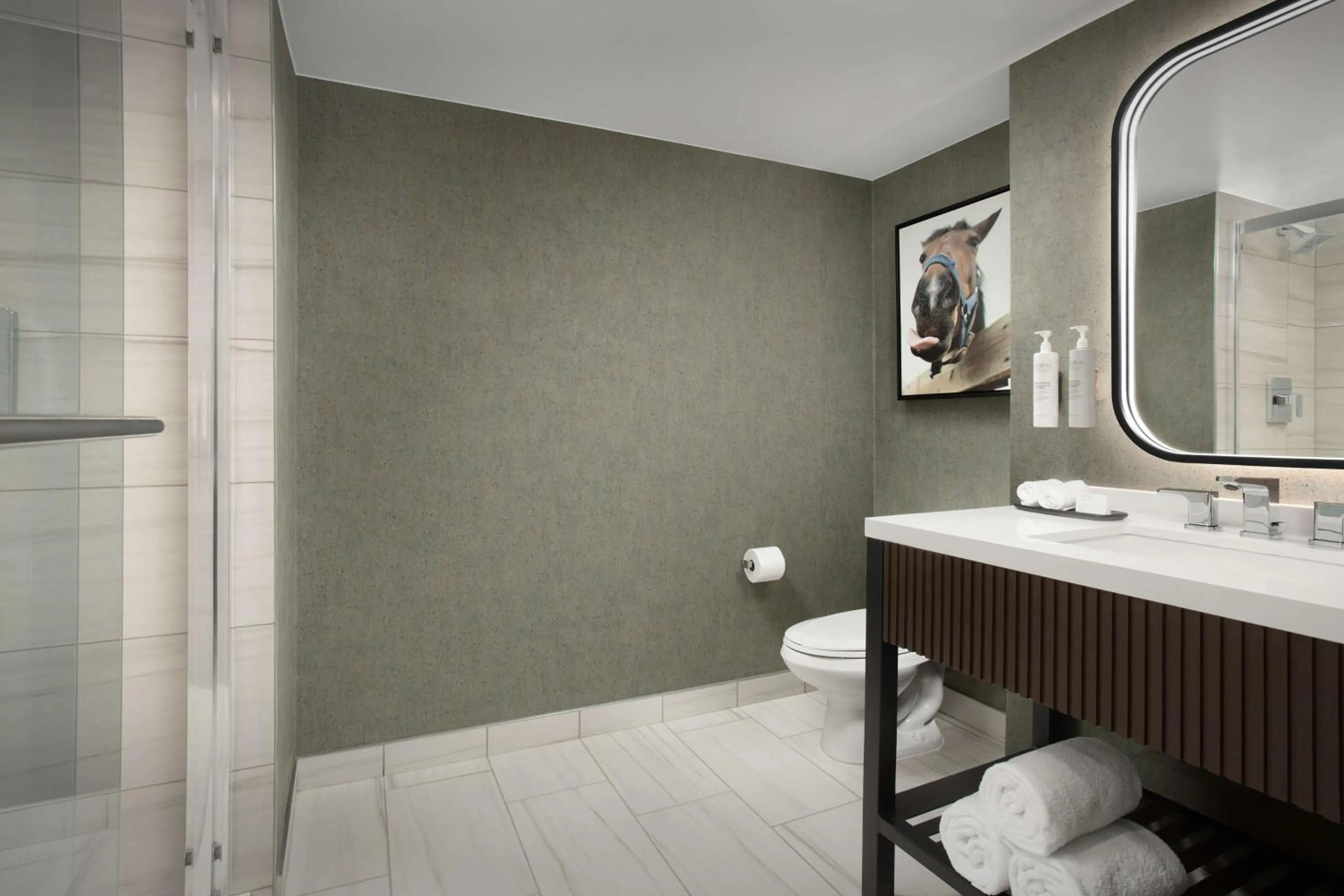 Bathroom in Embassy Suites by Hilton Dallas Near the Galleria