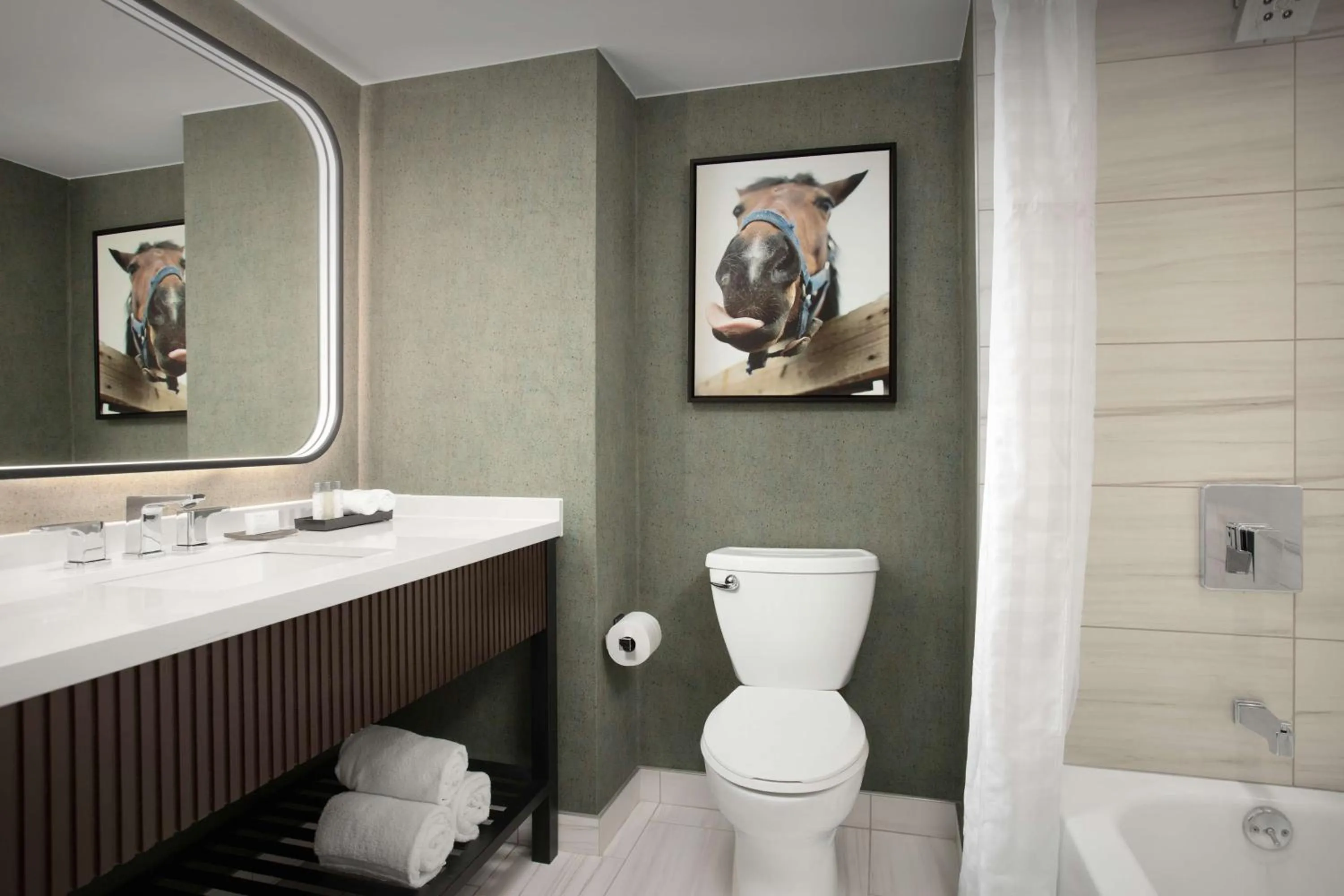 Bathroom in Embassy Suites by Hilton Dallas Near the Galleria