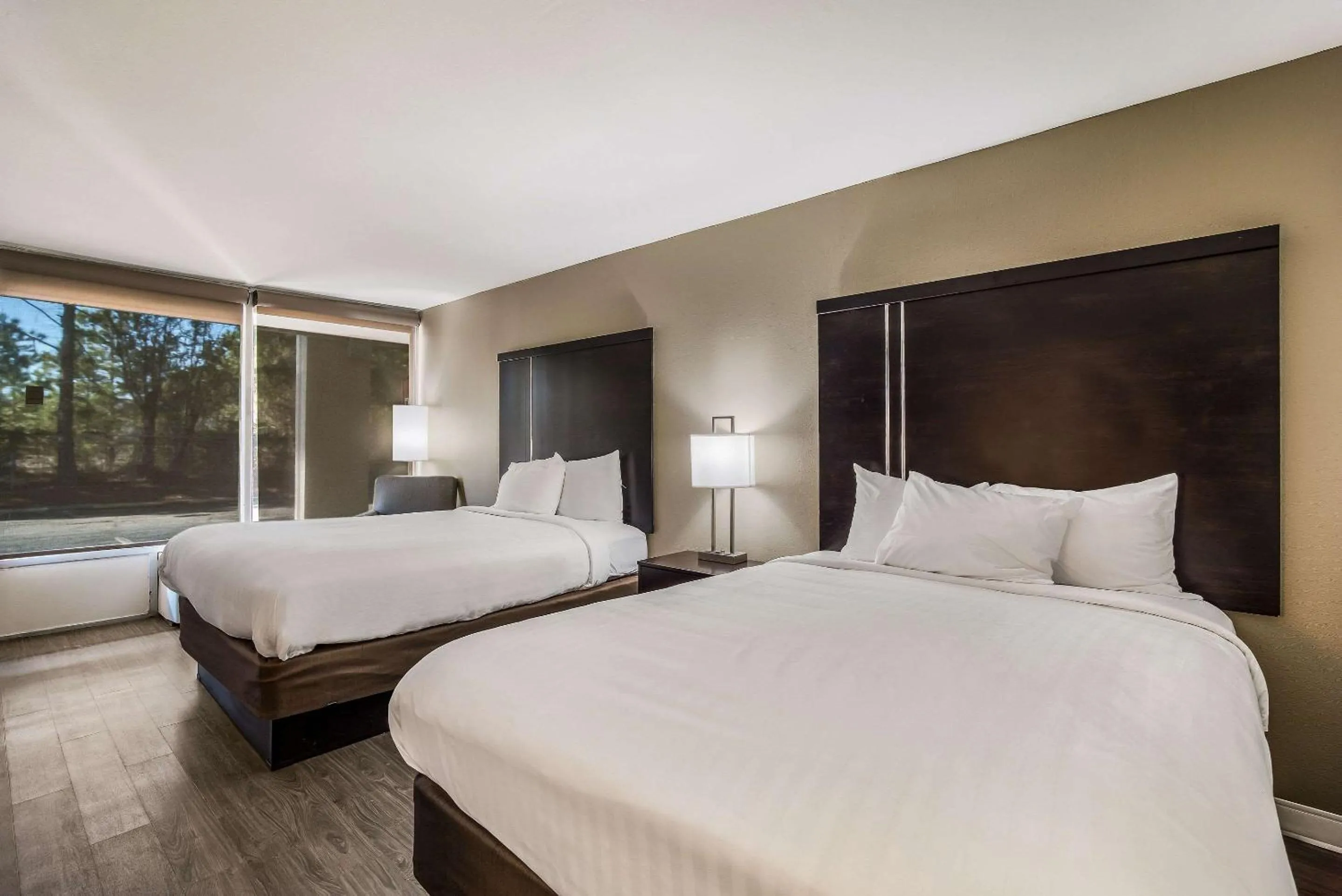 Photo of the whole room, Bed in Clarion Inn & Suites Florence - Darlington